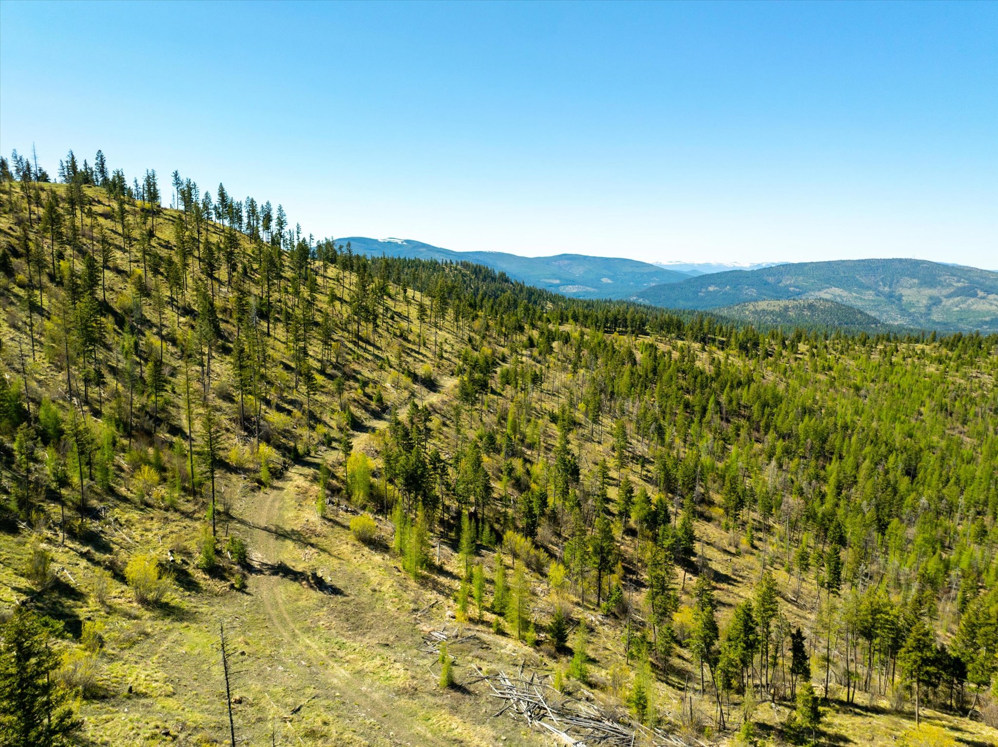 Nhn Ashley Lake Road Property Photo 75