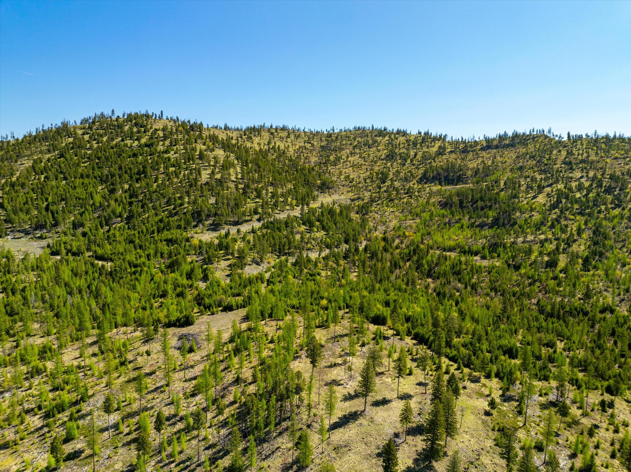 Nhn Ashley Lake Road Property Photo 79
