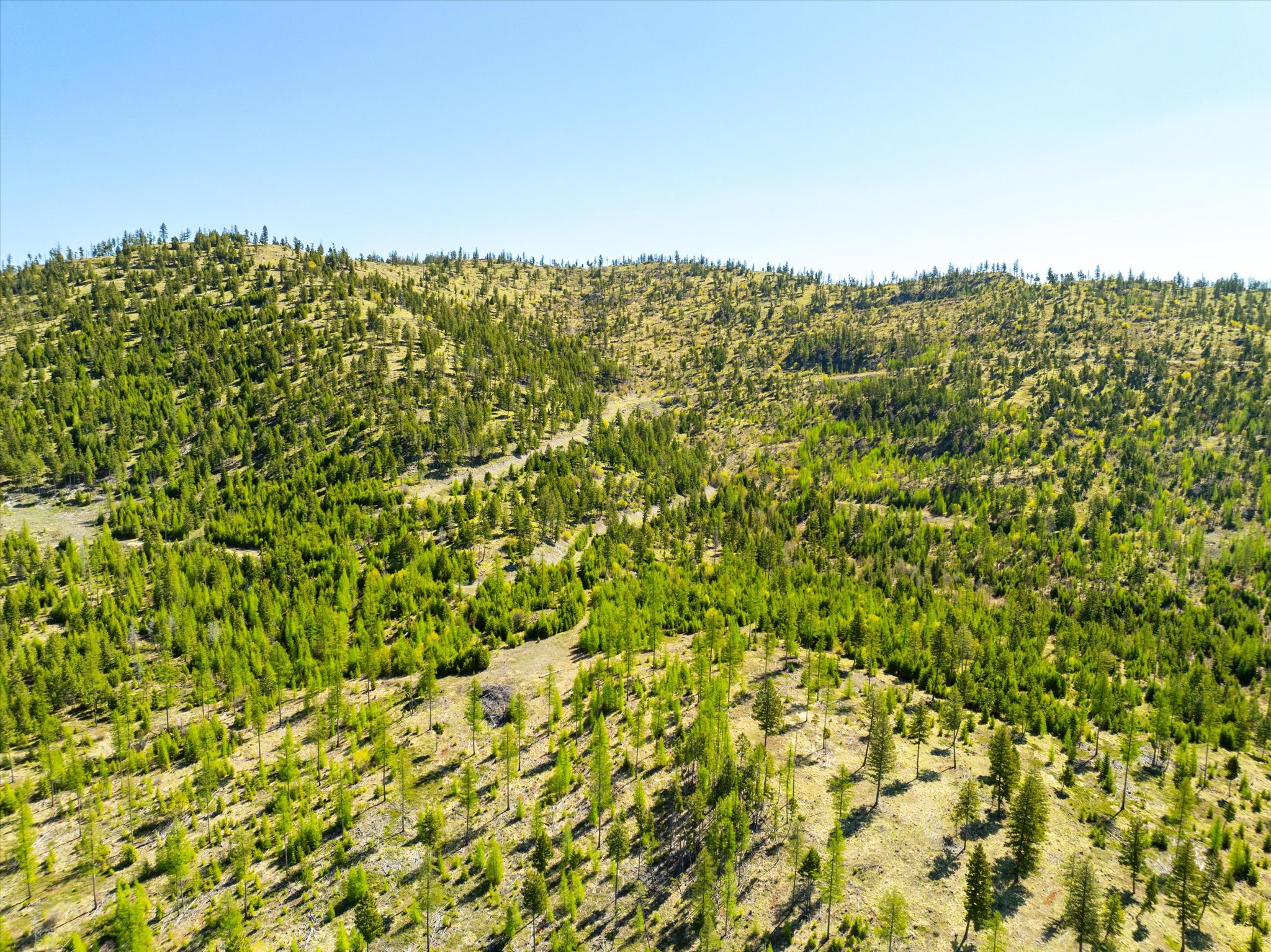 Nhn Ashley Lake Road Property Photo 80