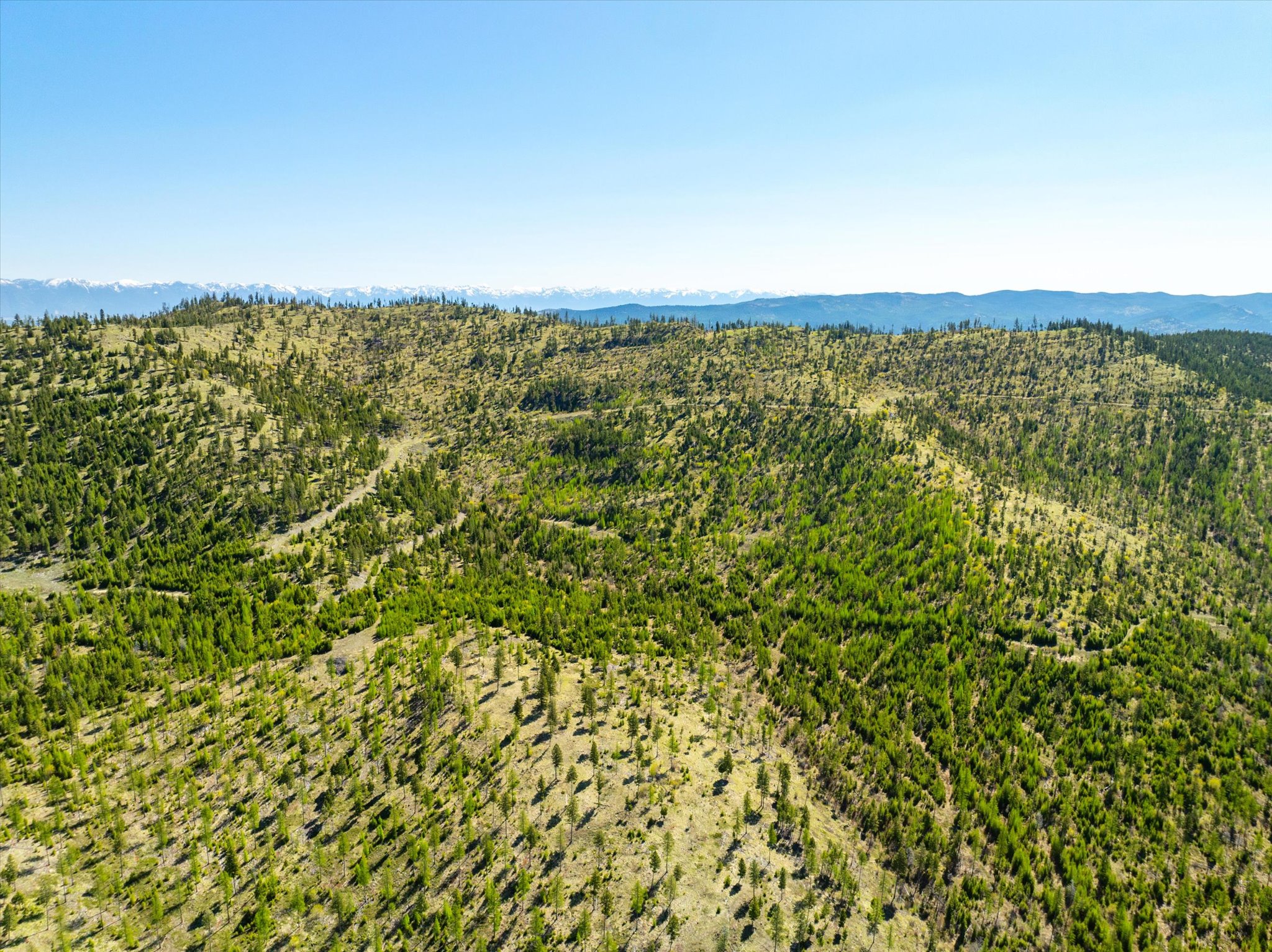 Nhn Ashley Lake Road Property Photo 81