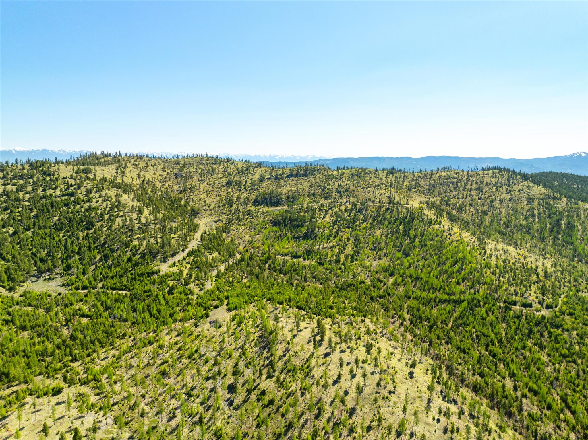 Nhn Ashley Lake Road Property Photo 82