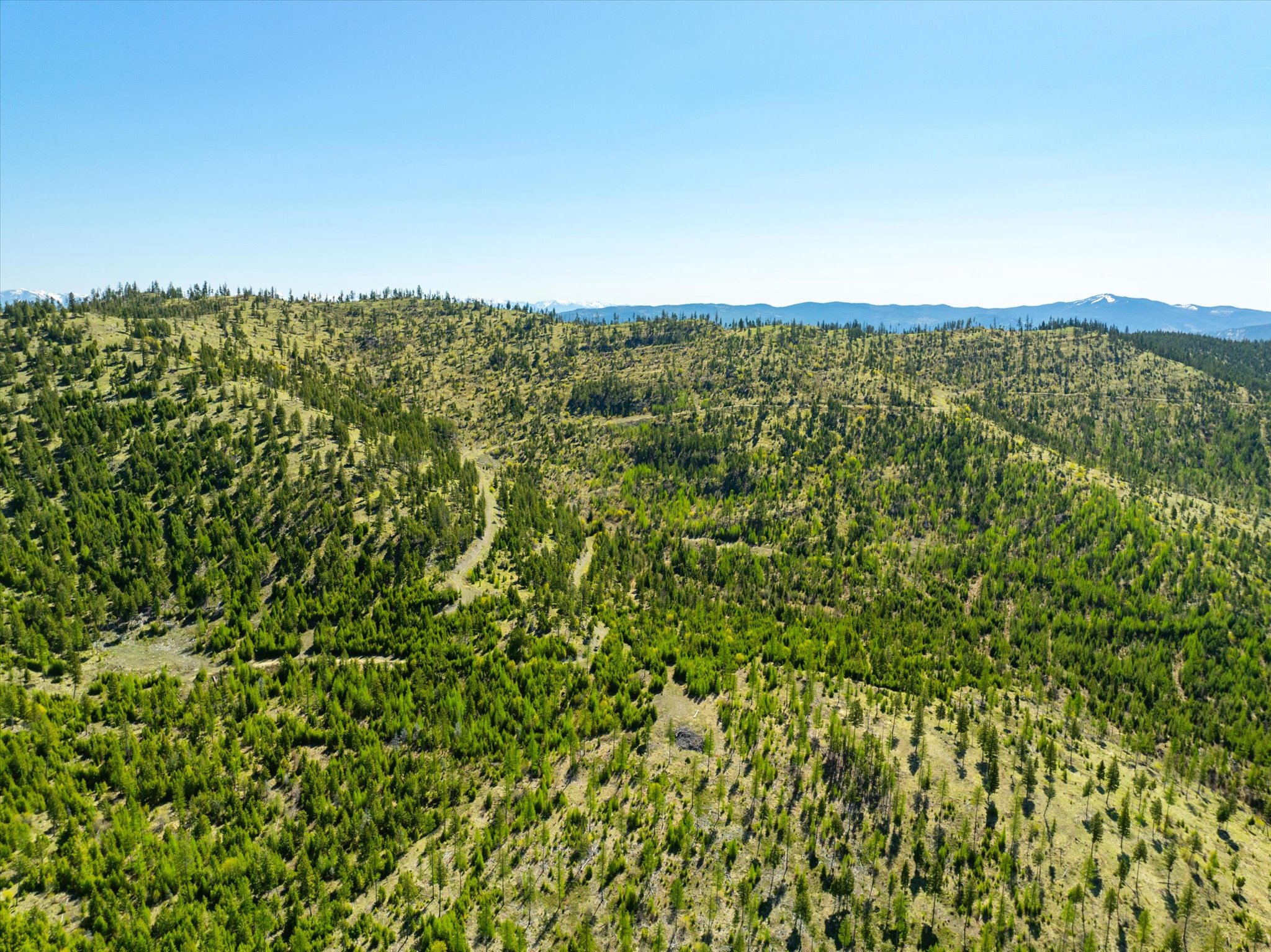 Nhn Ashley Lake Road Property Photo 83