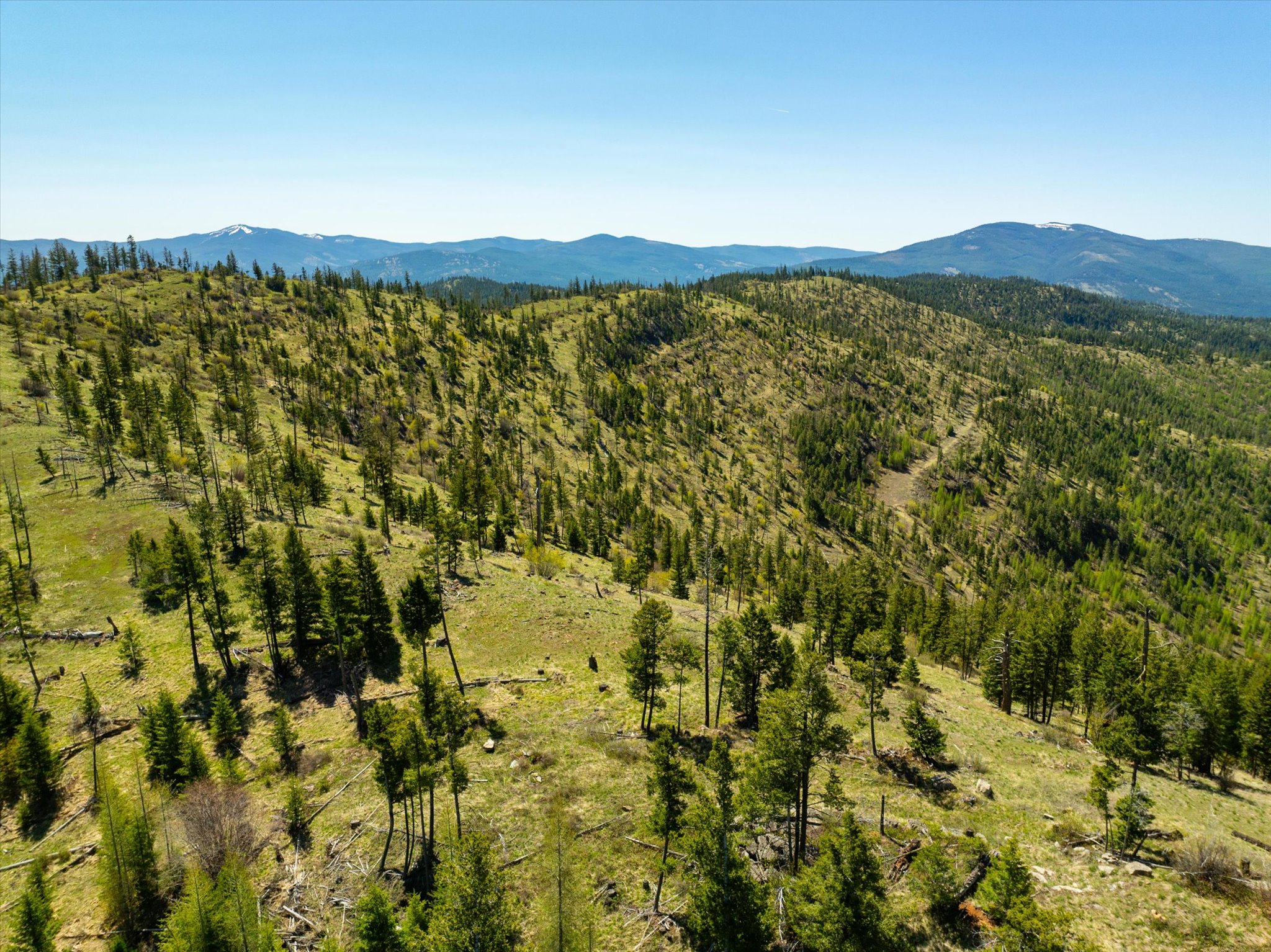 Nhn Ashley Lake Road Property Photo 89