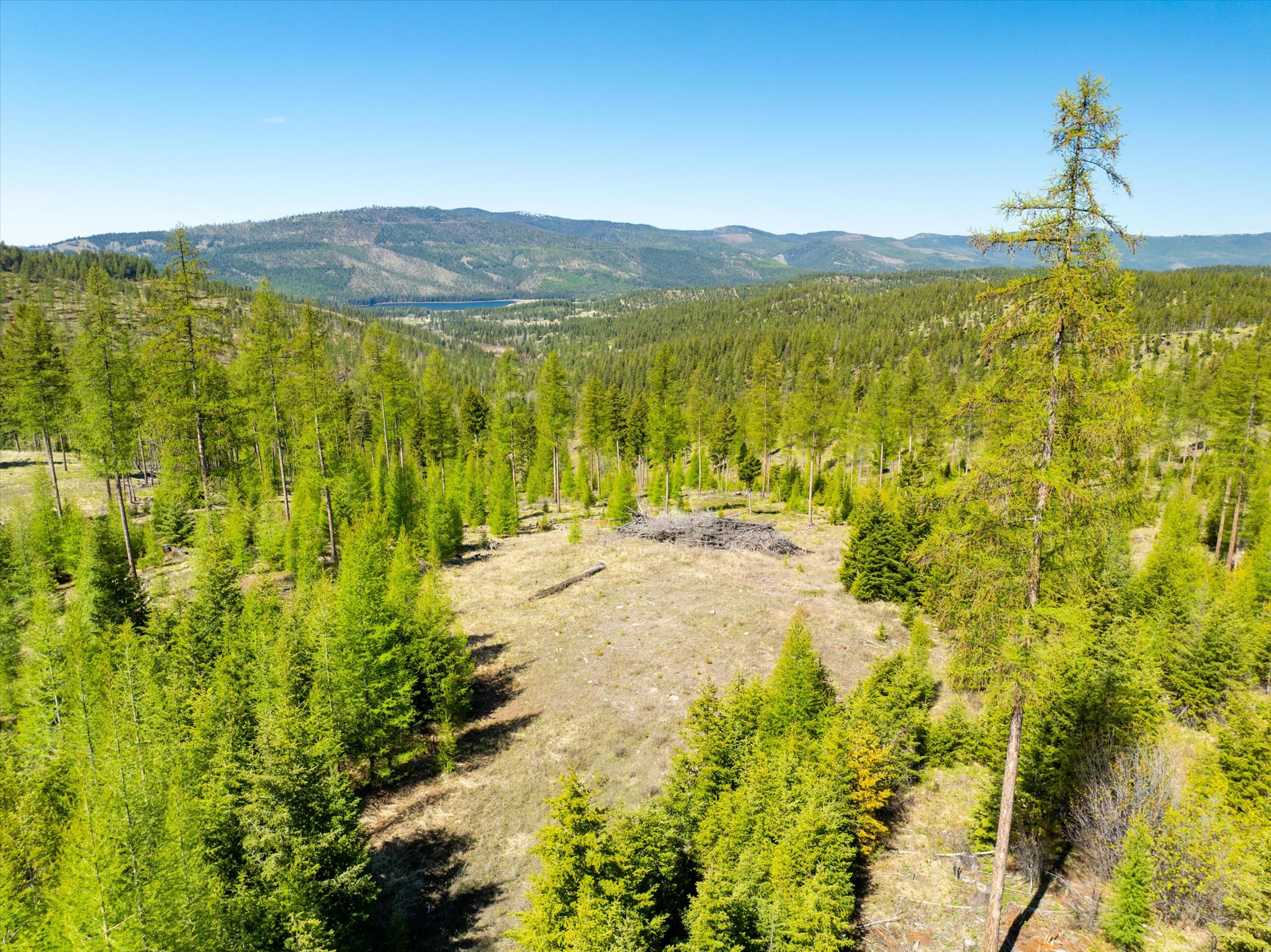 Nhn Ashley Lake Road Property Photo 94