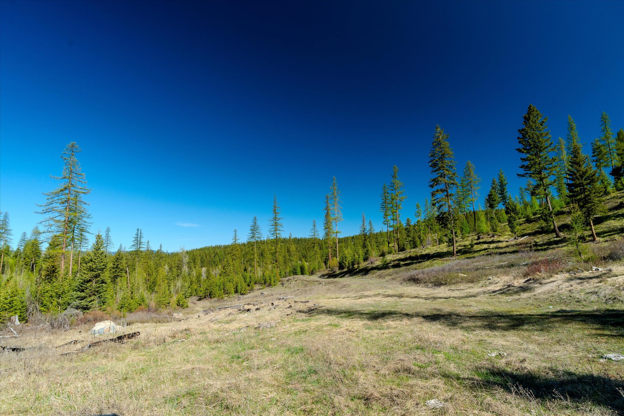 Nhn Ashley Lake Road Property Photo 95