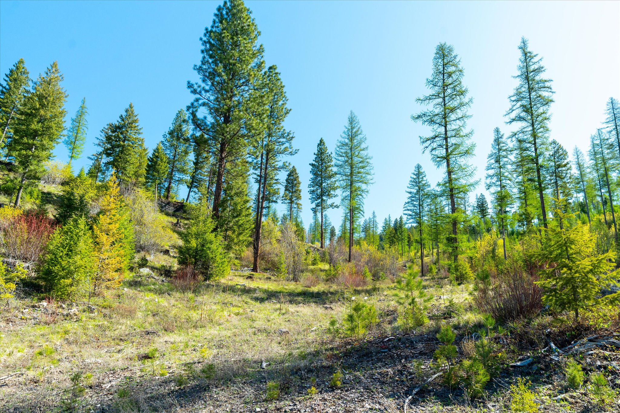 Nhn Ashley Lake Road Property Photo 96