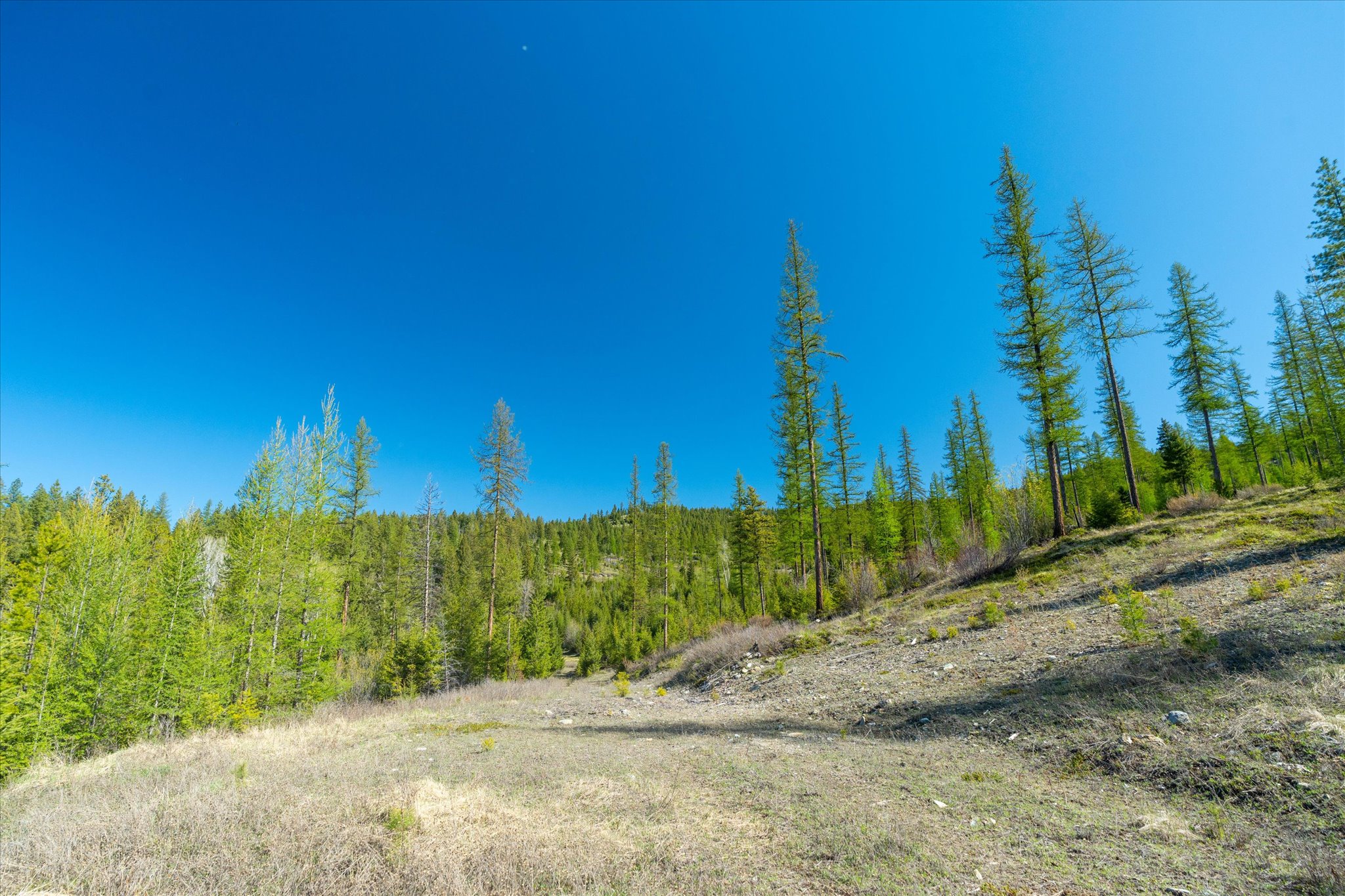 Nhn Ashley Lake Road Property Photo 97