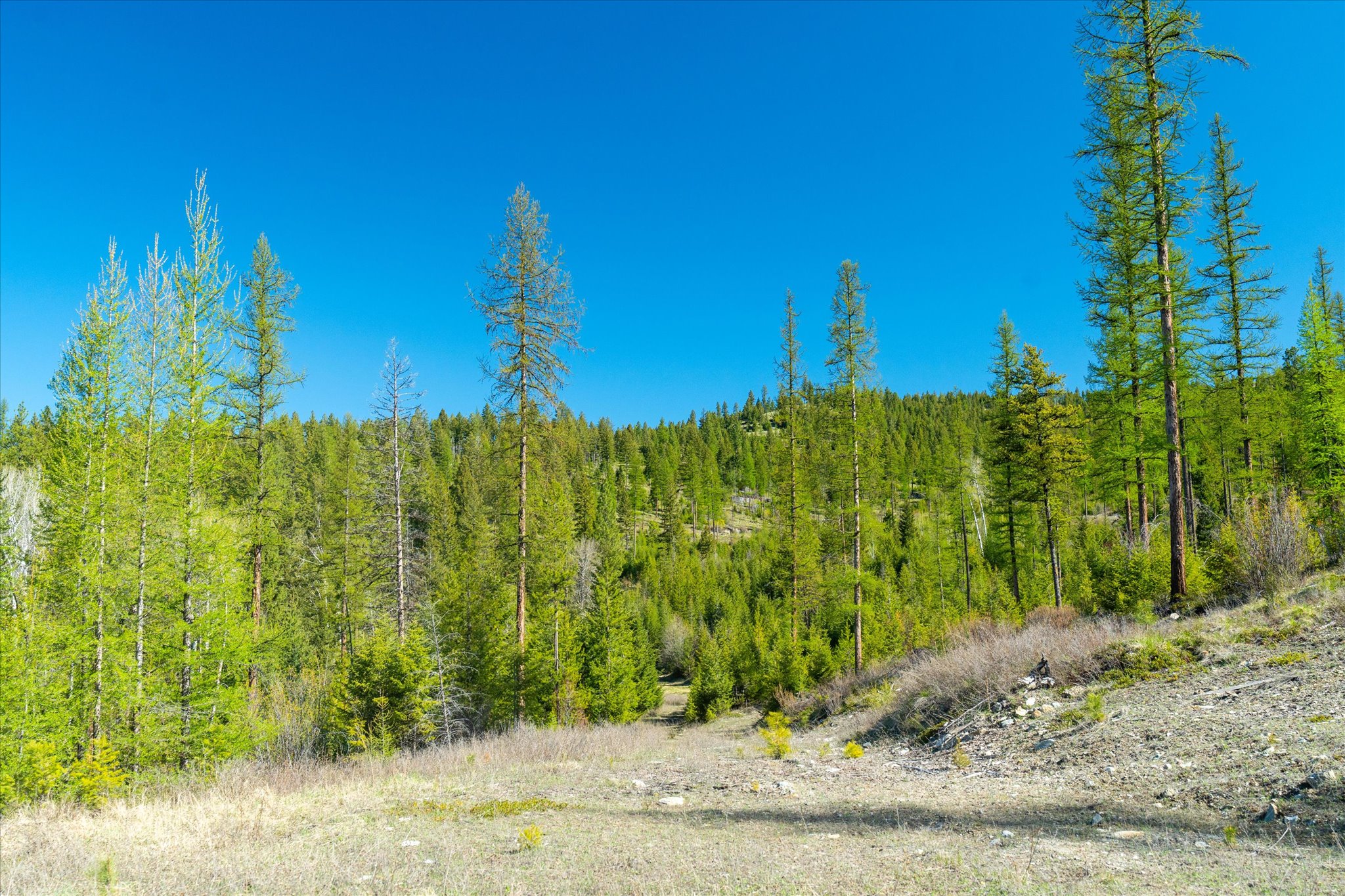Nhn Ashley Lake Road Property Photo 98