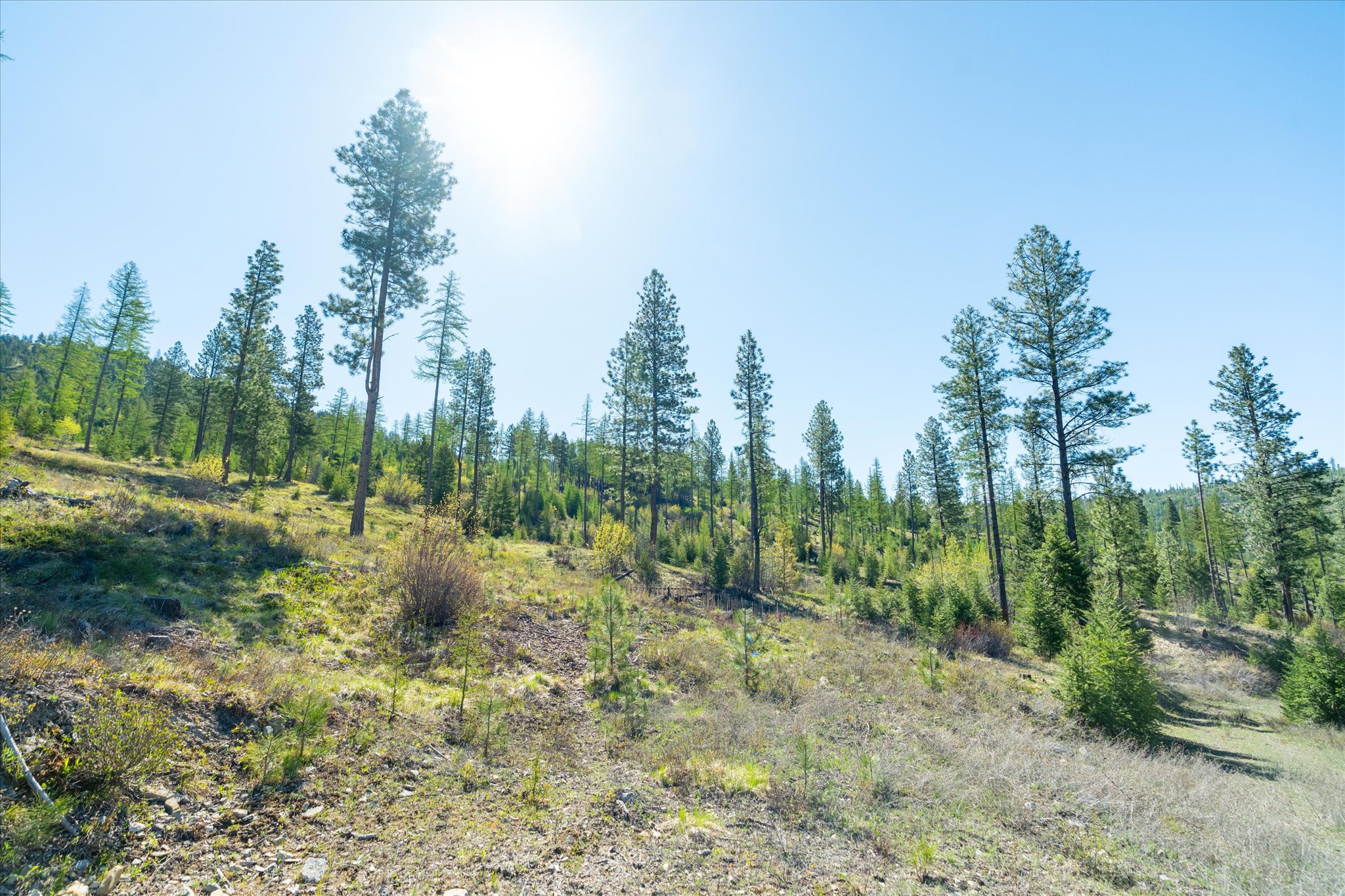 Nhn Ashley Lake Road Property Photo 99