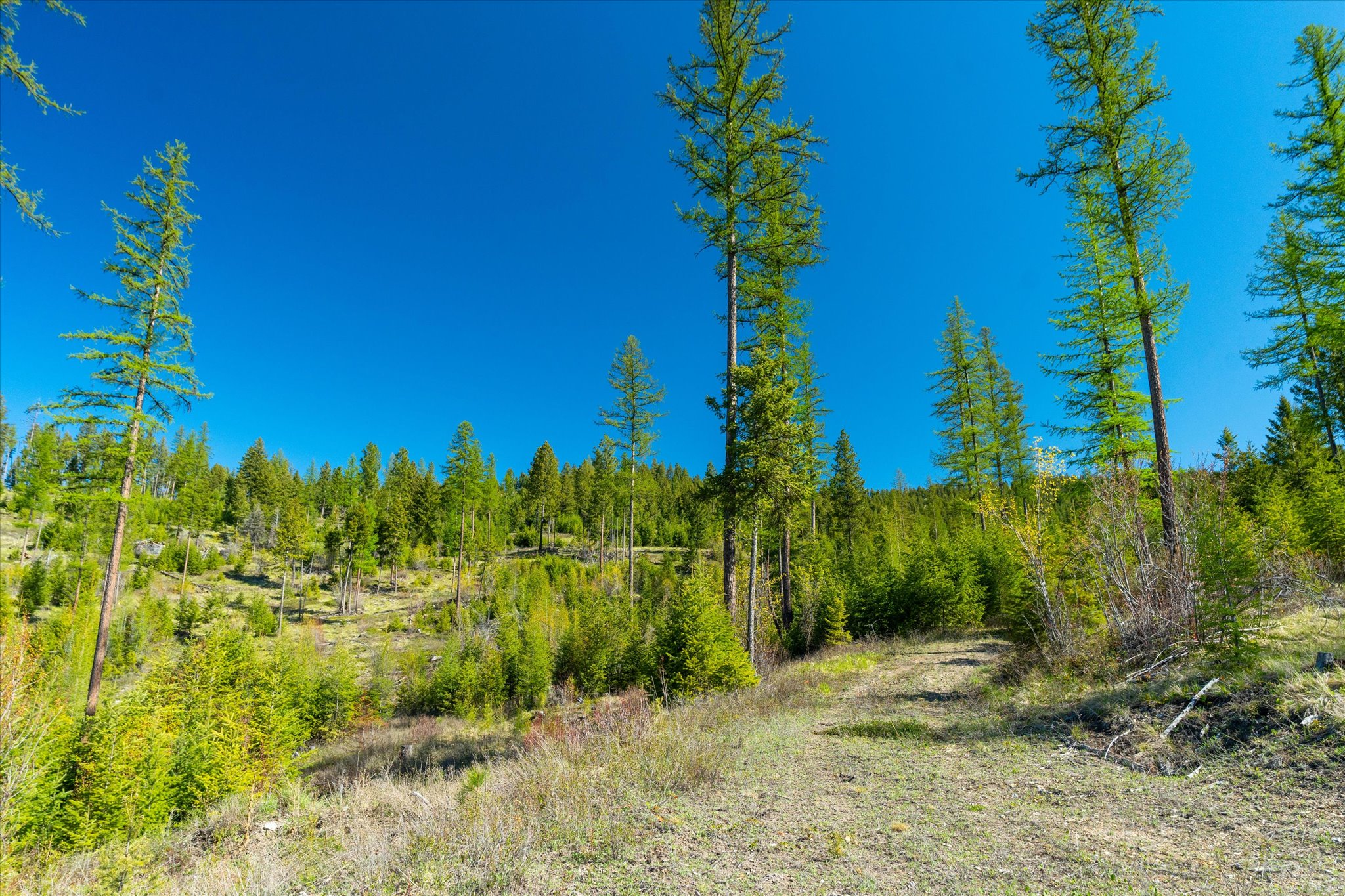 Nhn Ashley Lake Road Property Photo 100