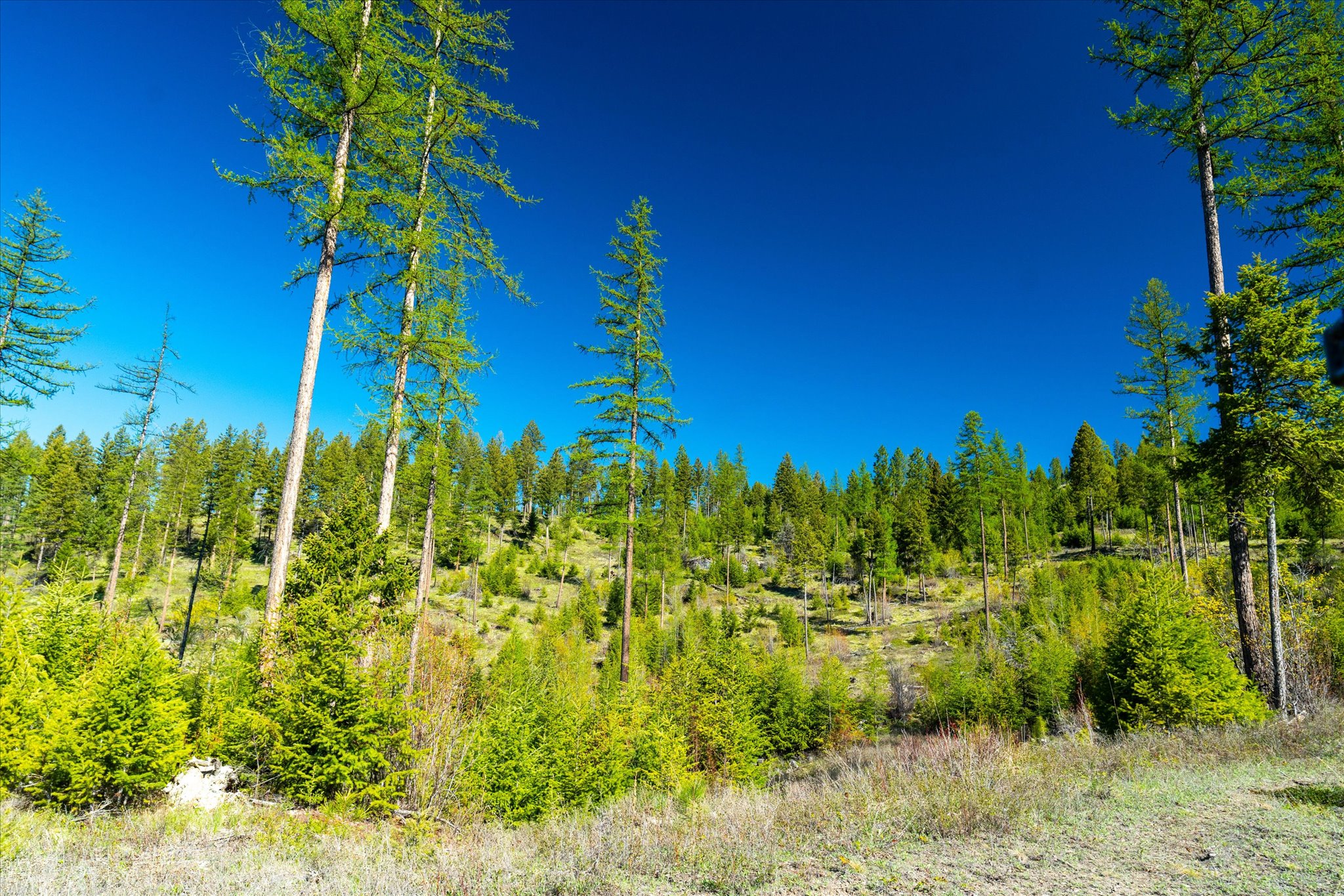 Nhn Ashley Lake Road Property Photo 101