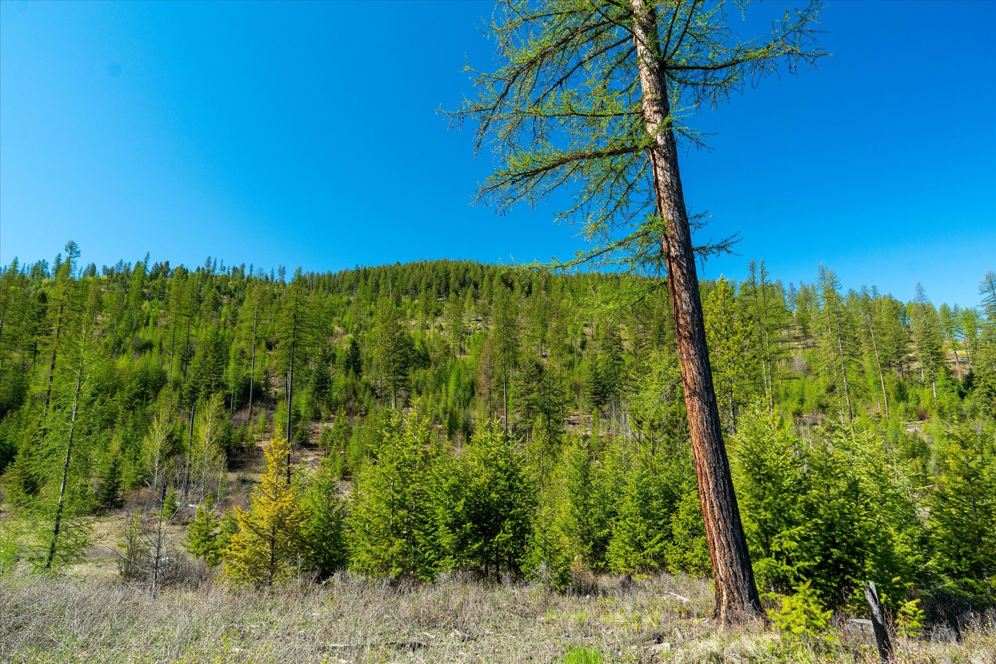 Nhn Ashley Lake Road Property Photo 103