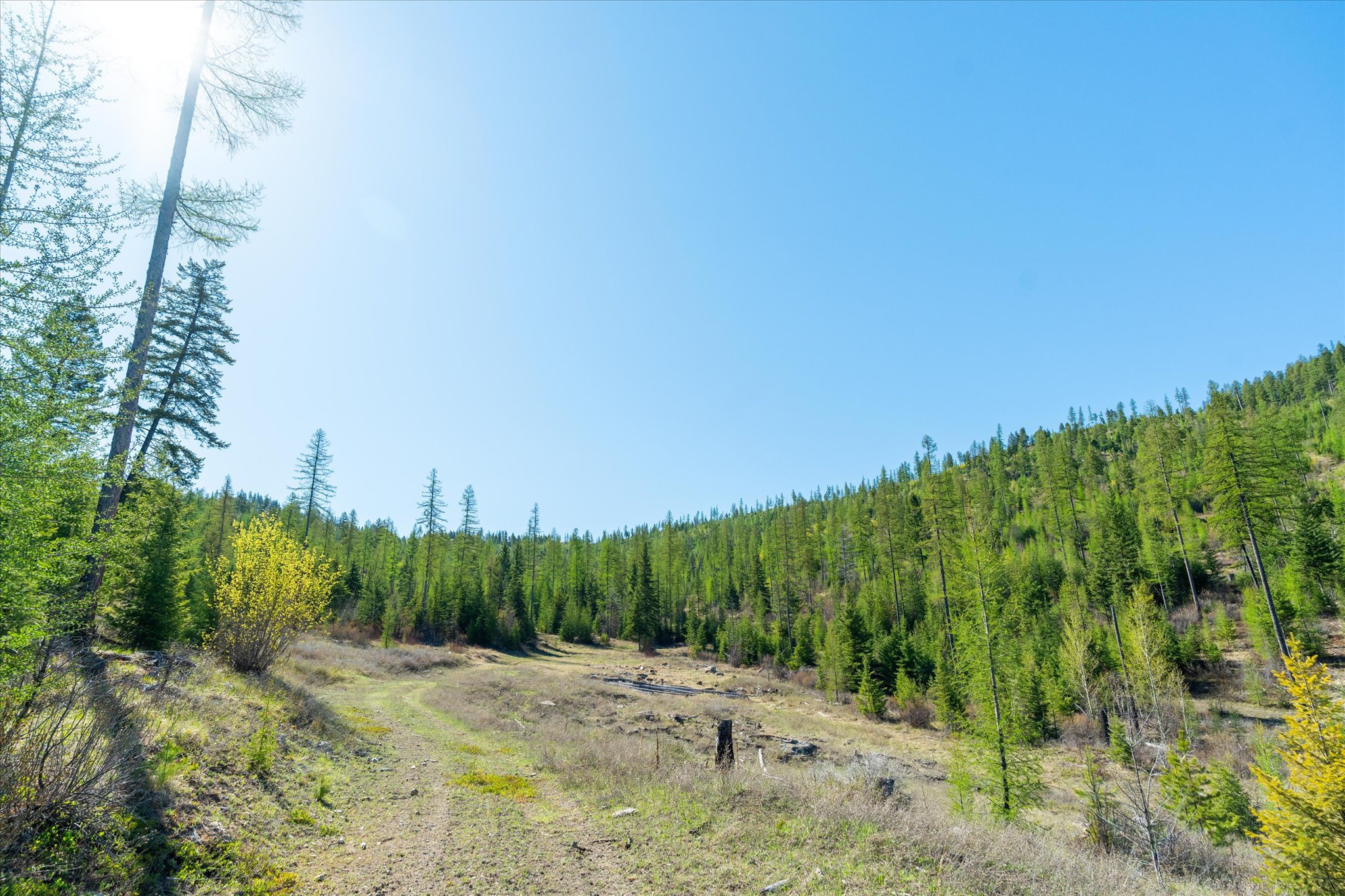 Nhn Ashley Lake Road Property Photo 104