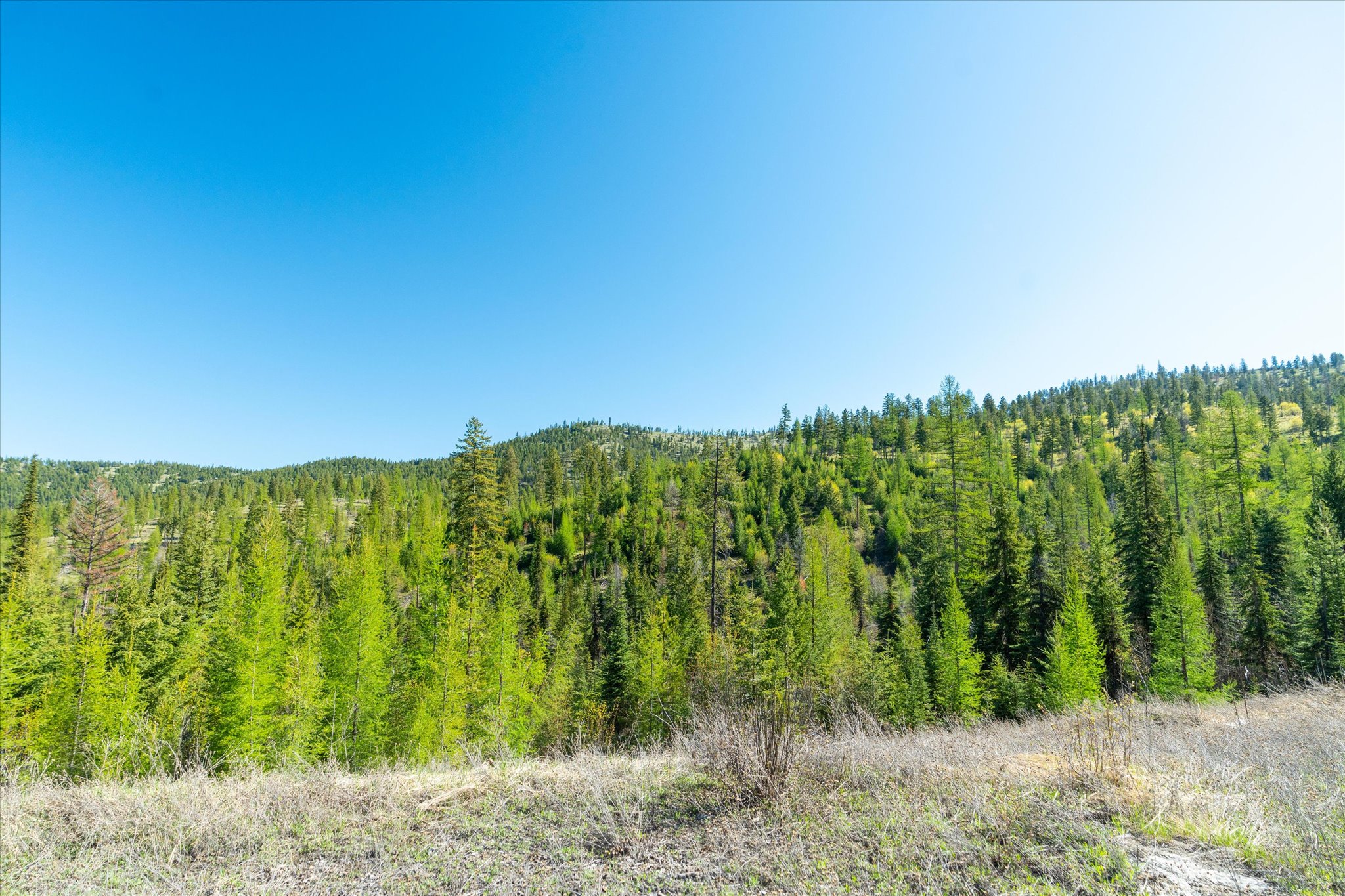 Nhn Ashley Lake Road Property Photo 105