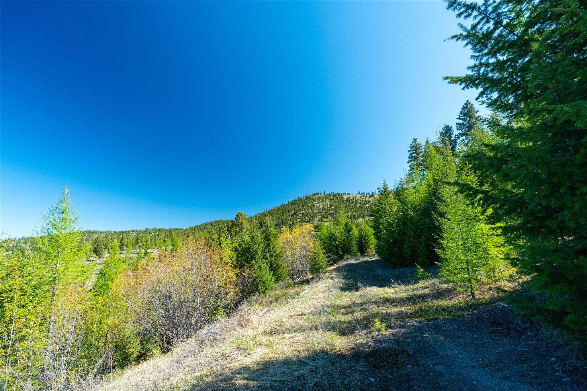 Nhn Ashley Lake Road Property Photo 106