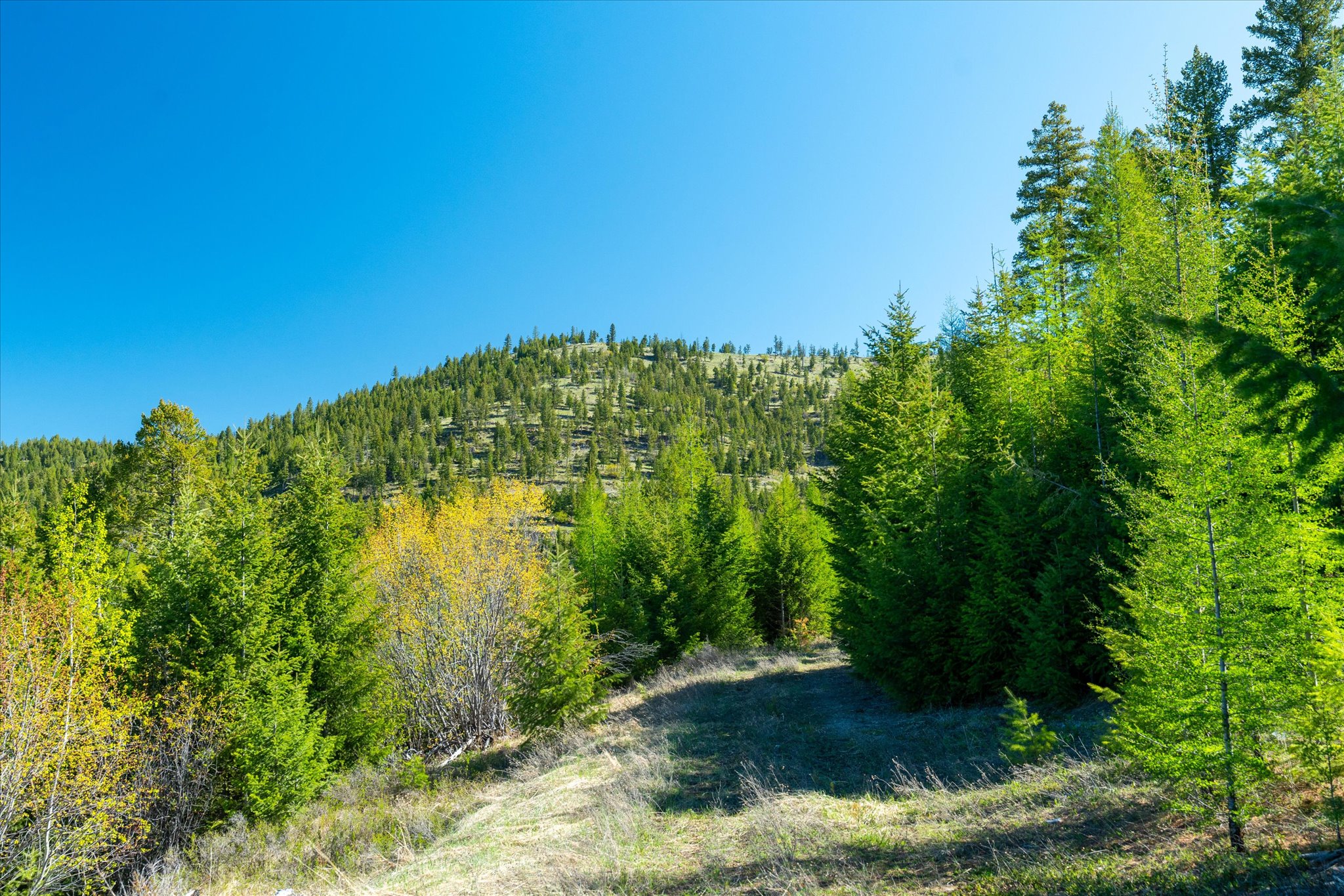 Nhn Ashley Lake Road Property Photo 107