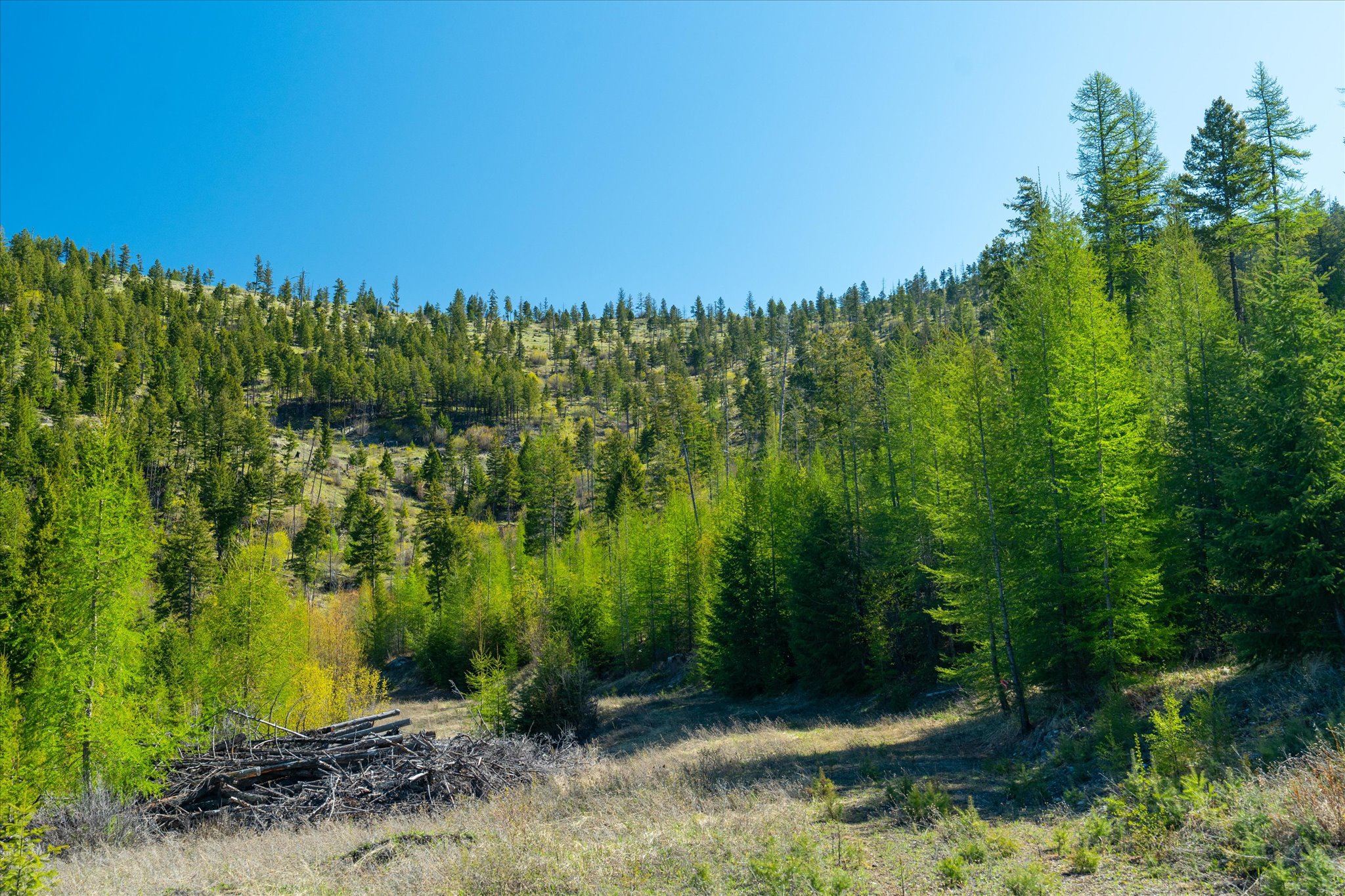 Nhn Ashley Lake Road Property Photo 108