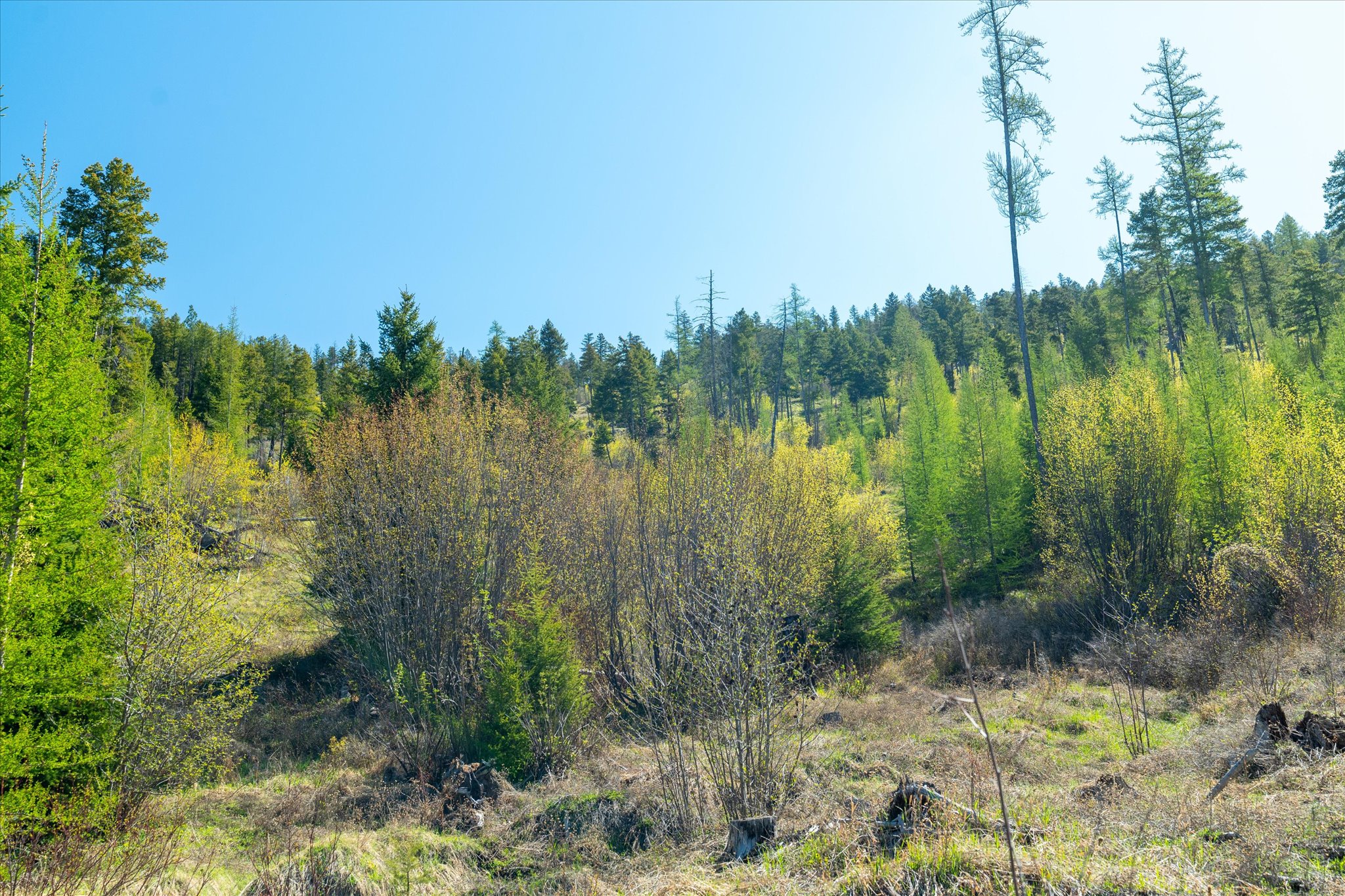 Nhn Ashley Lake Road Property Photo 109
