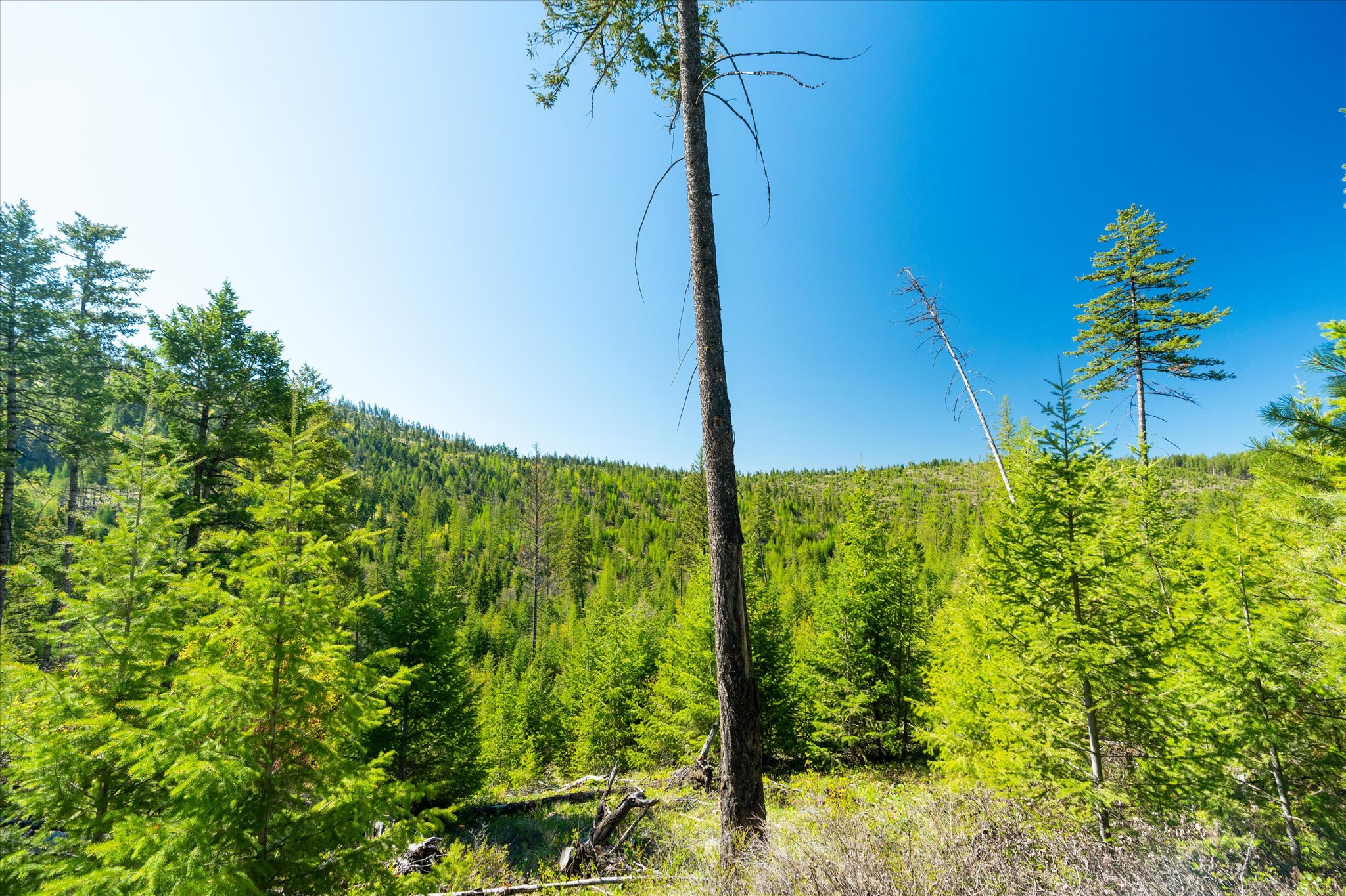 Nhn Ashley Lake Road Property Photo 110