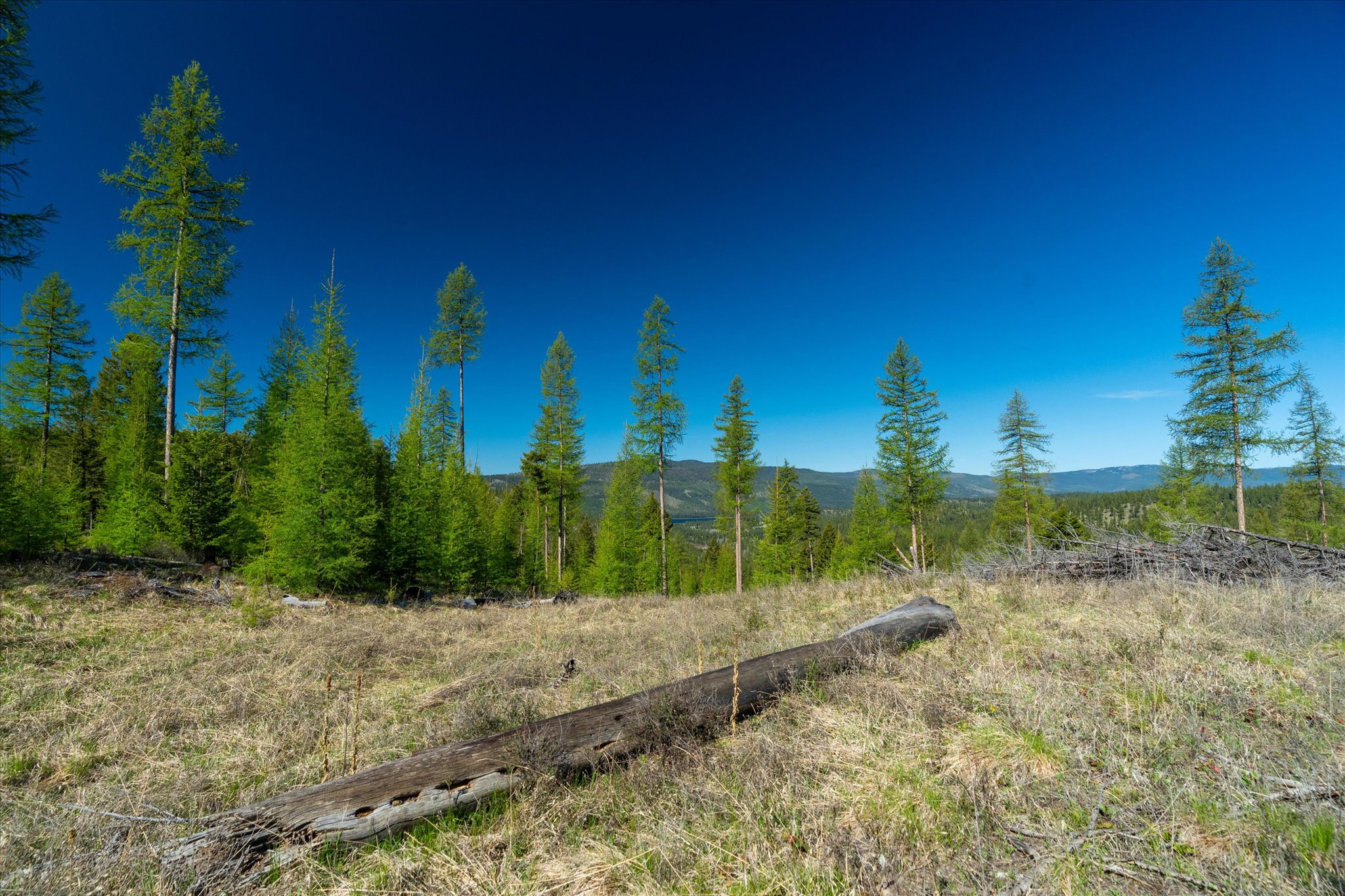 Nhn Ashley Lake Road Property Photo 113