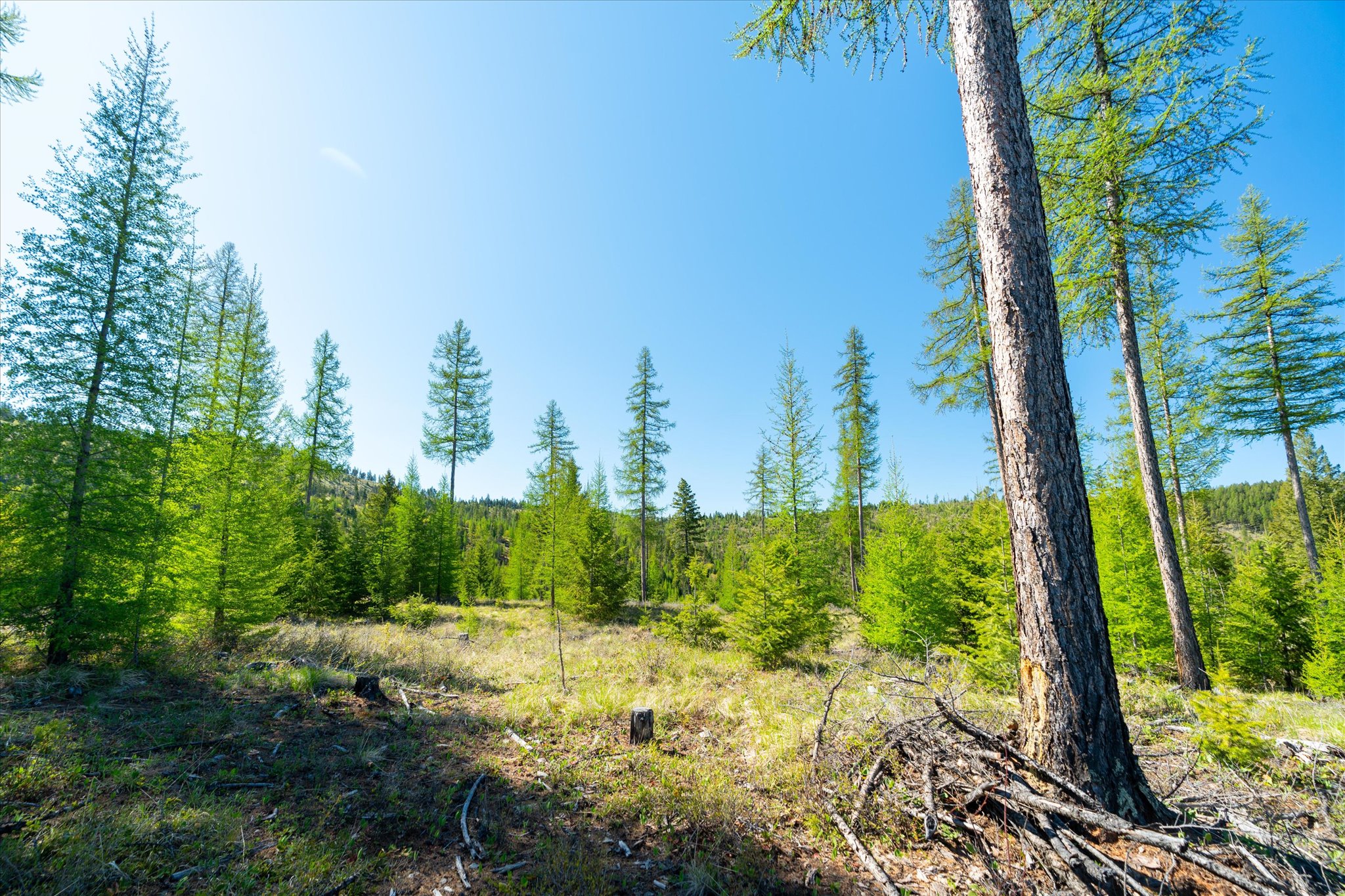 Nhn Ashley Lake Road Property Photo 115