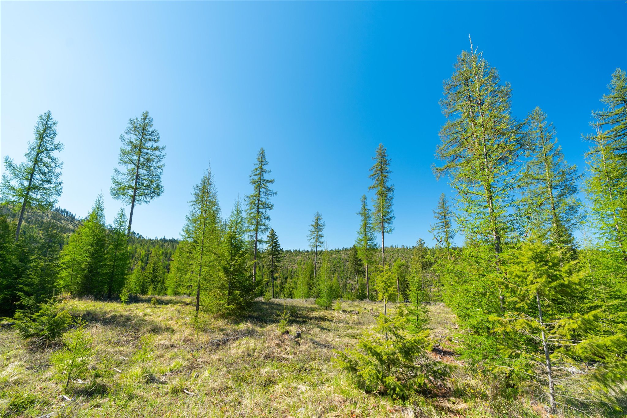 Nhn Ashley Lake Road Property Photo 116