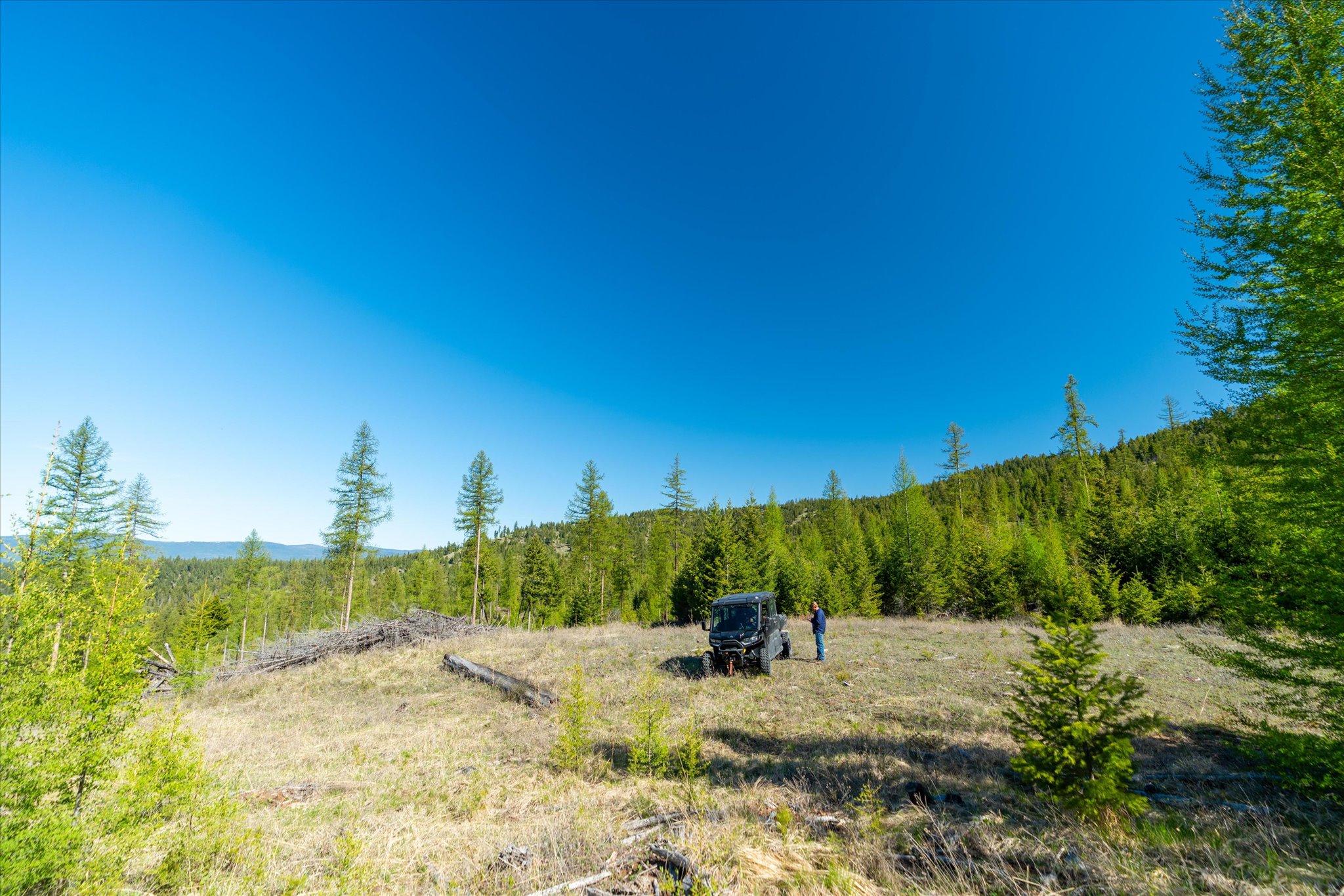 Nhn Ashley Lake Road Property Photo 119
