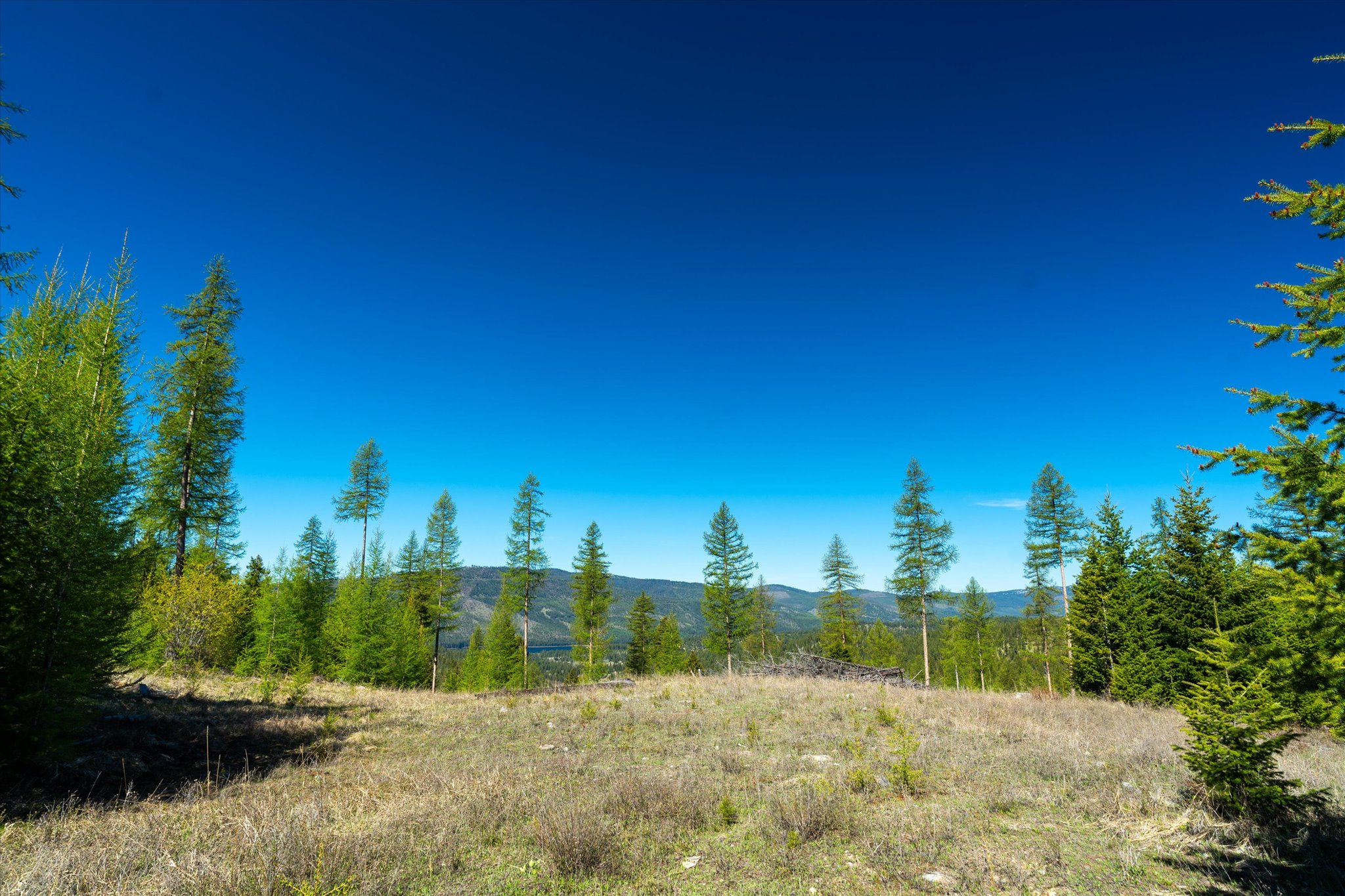 Nhn Ashley Lake Road Property Photo 120