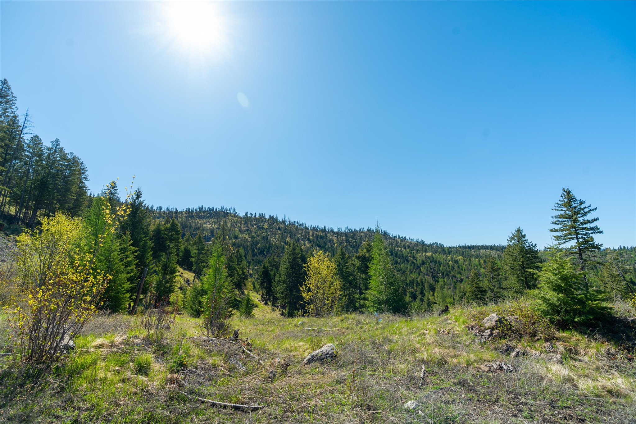Nhn Ashley Lake Road Property Photo 121