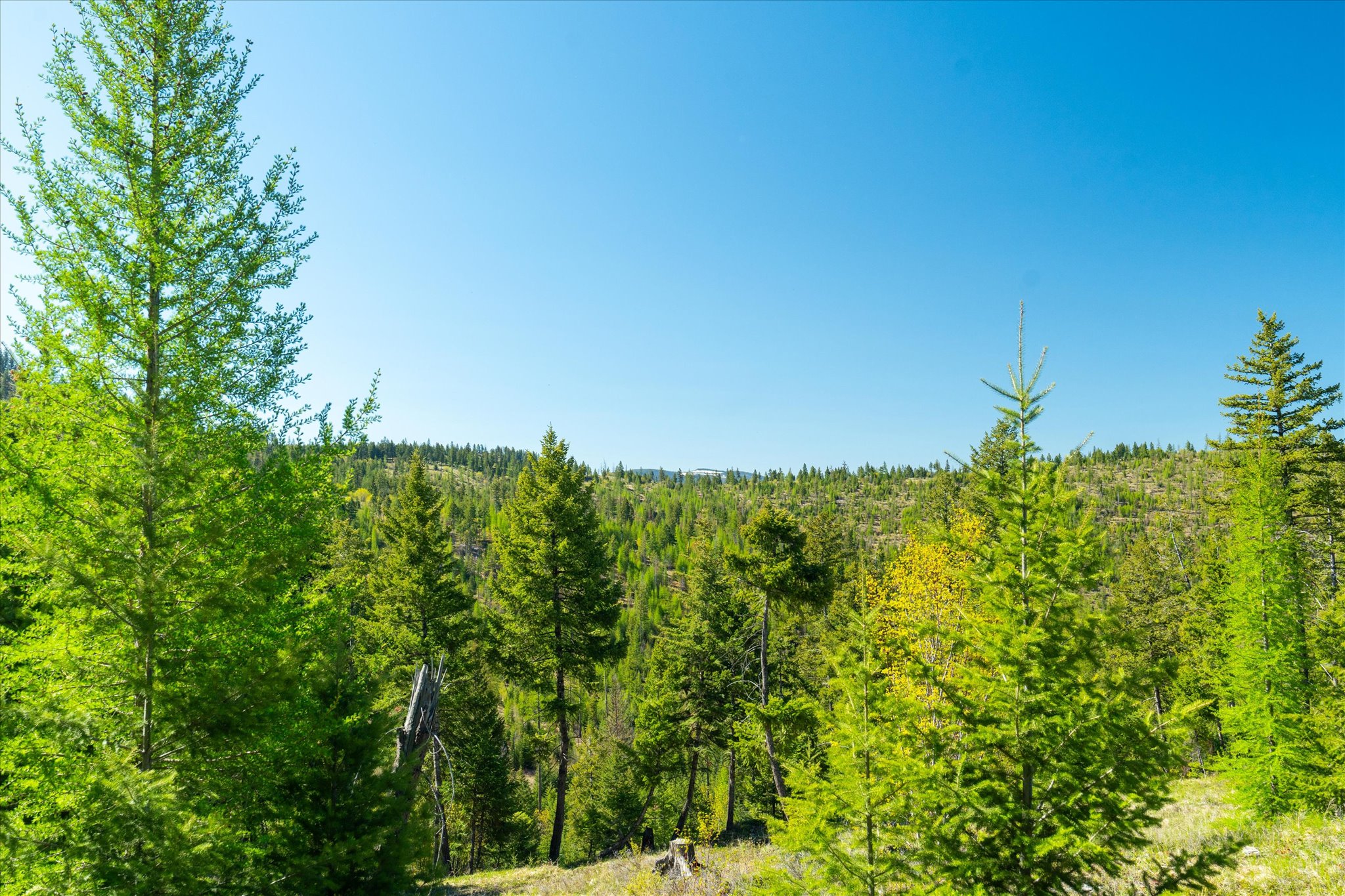 Nhn Ashley Lake Road Property Photo 122