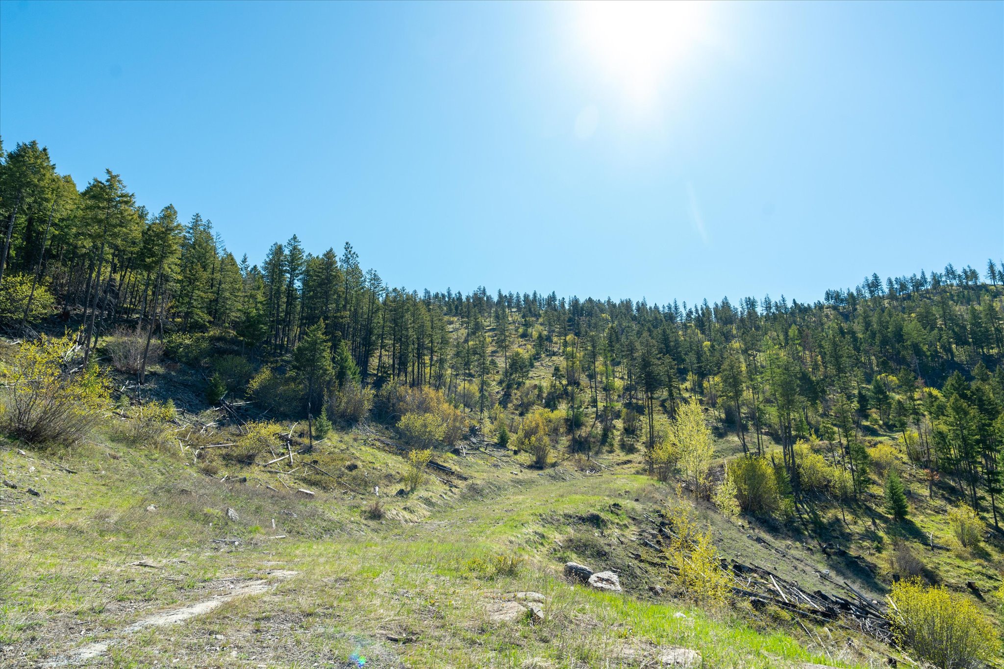 Nhn Ashley Lake Road Property Photo 123