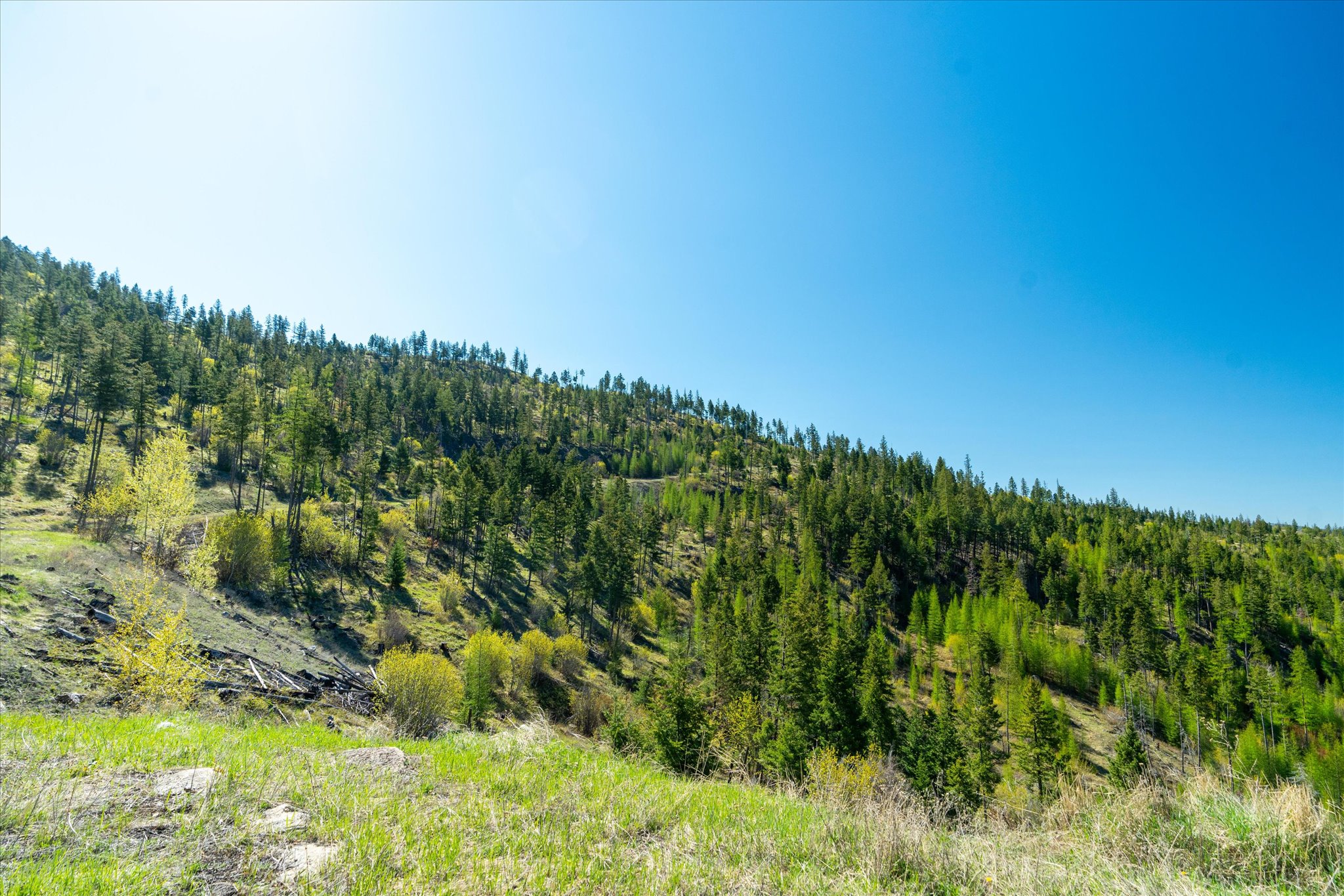 Nhn Ashley Lake Road Property Photo 124