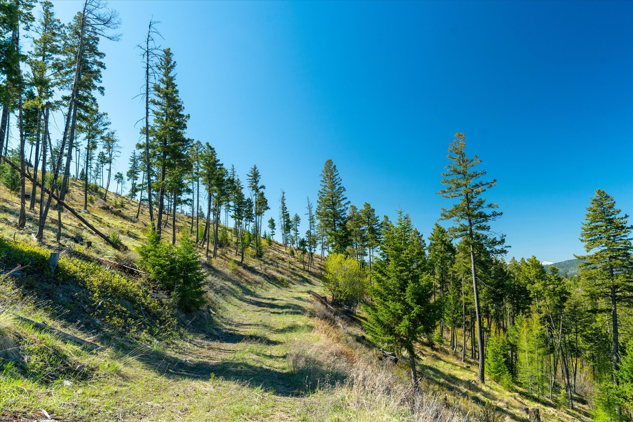 Nhn Ashley Lake Road Property Photo 125