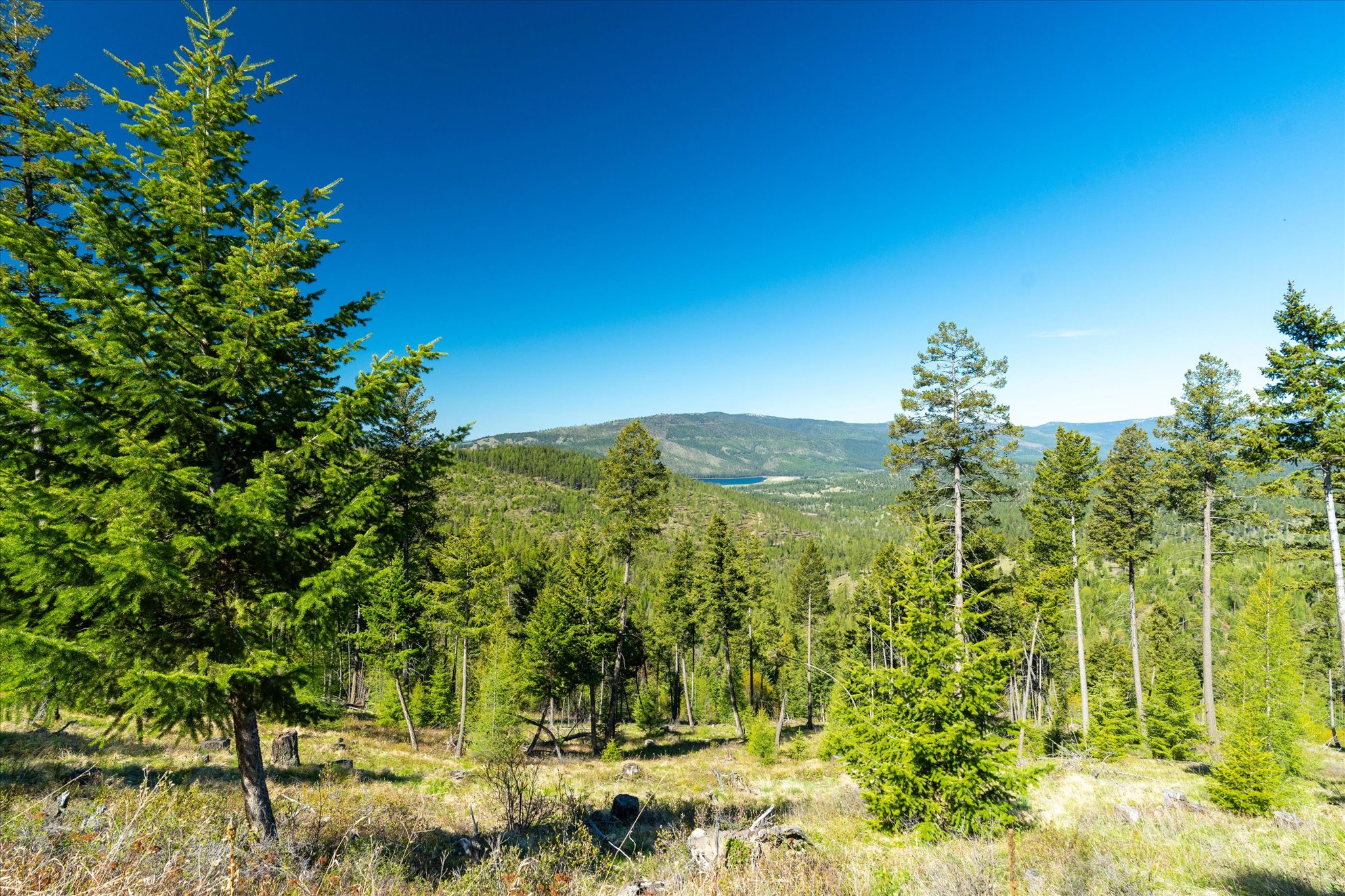 Nhn Ashley Lake Road Property Photo 126