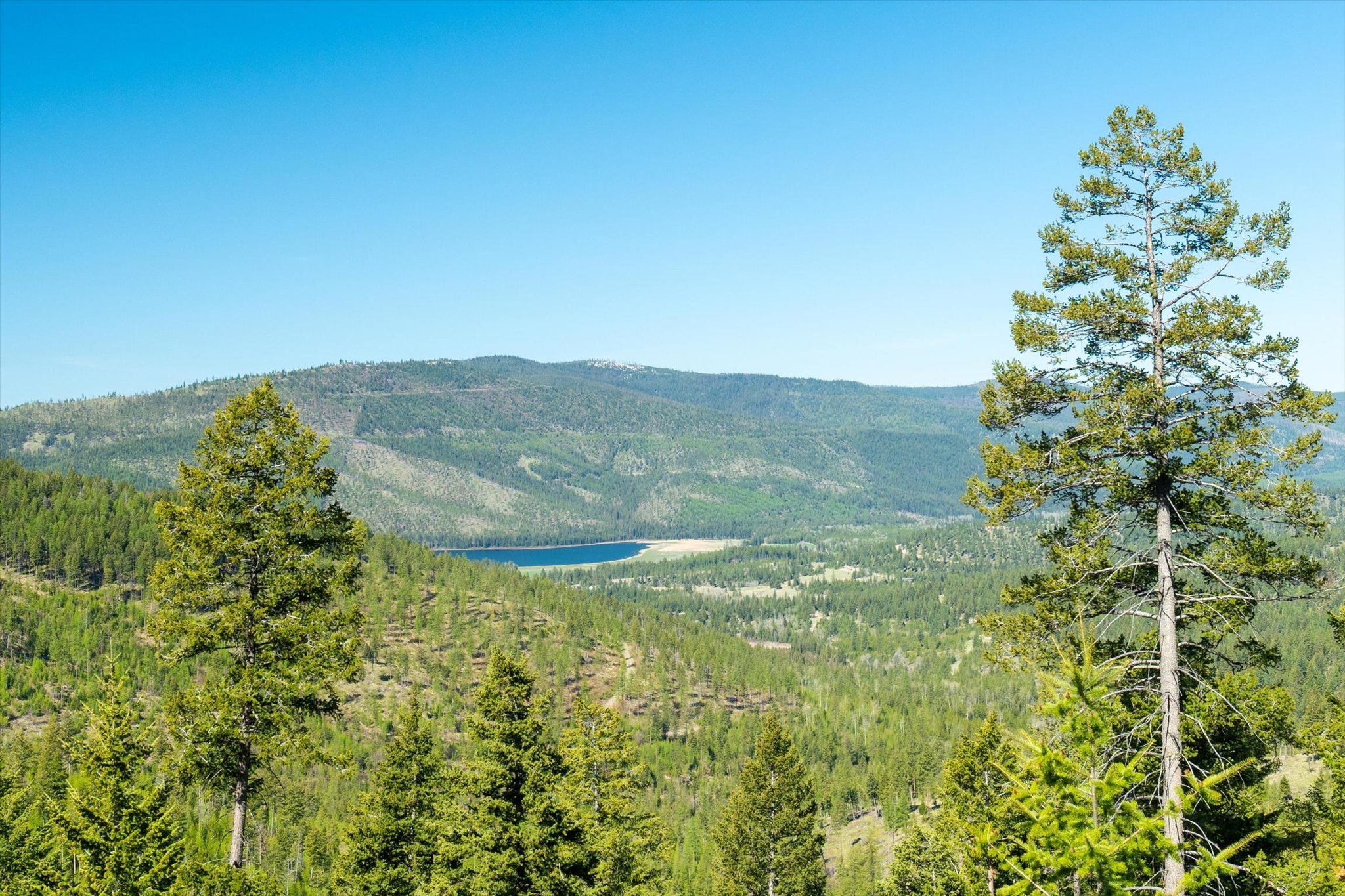 Nhn Ashley Lake Road Property Photo 127