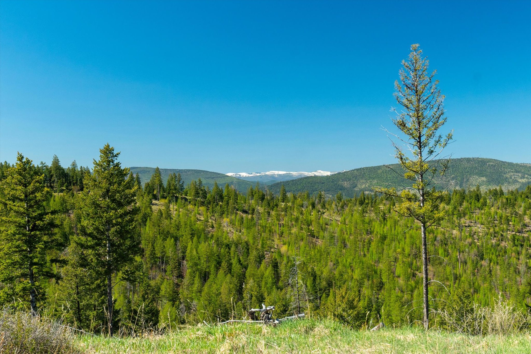 Nhn Ashley Lake Road Property Photo 128