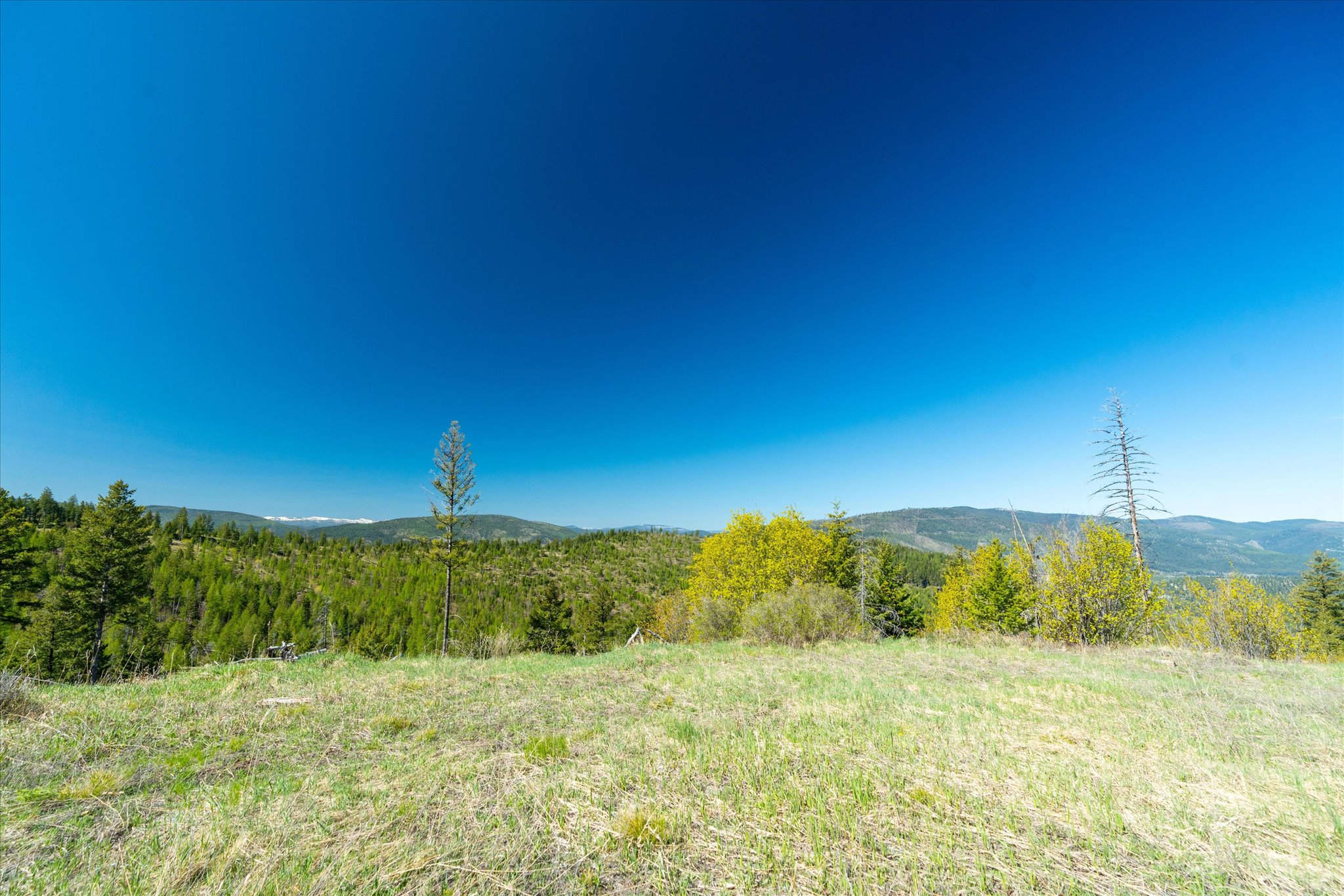 Nhn Ashley Lake Road Property Photo 129