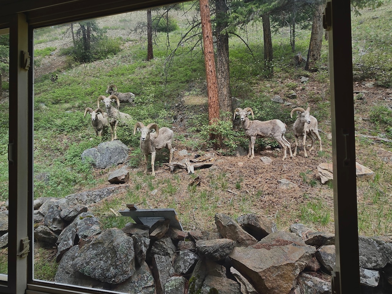 5552 Us Hwy 93 S Property Photo 15