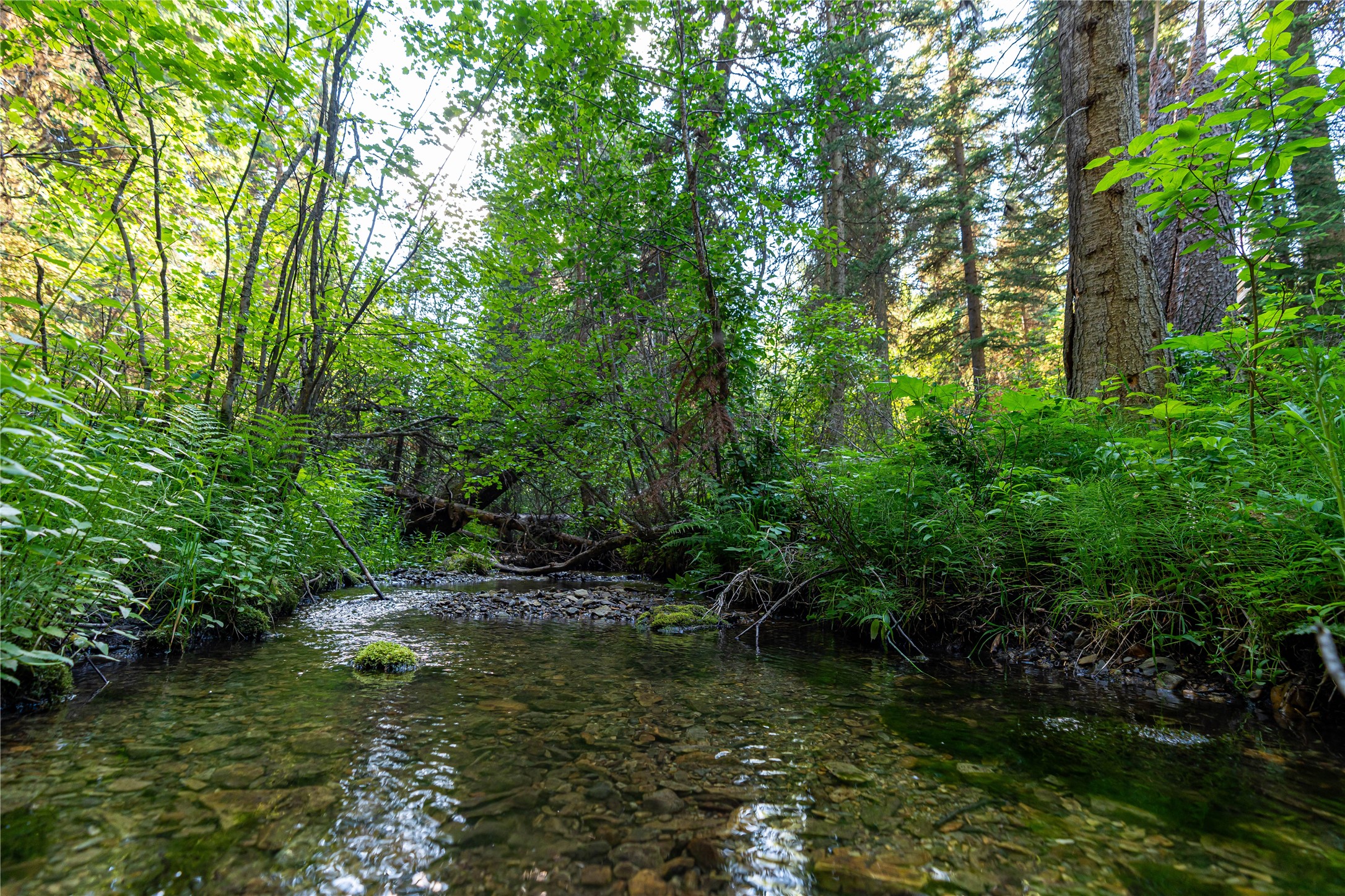 Nhn Ashley Lake Road Property Photo 2