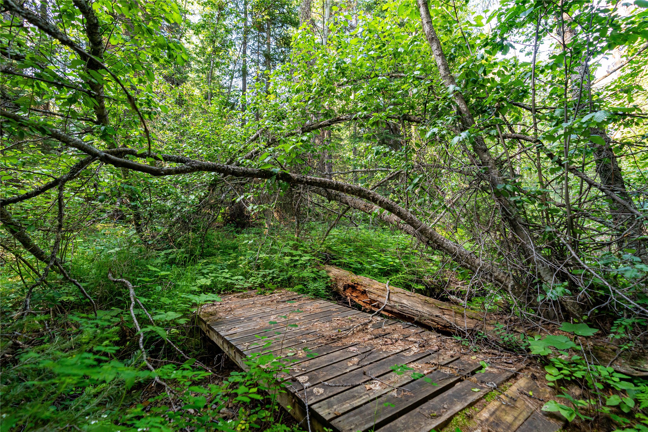 Nhn Ashley Lake Road Property Photo 4