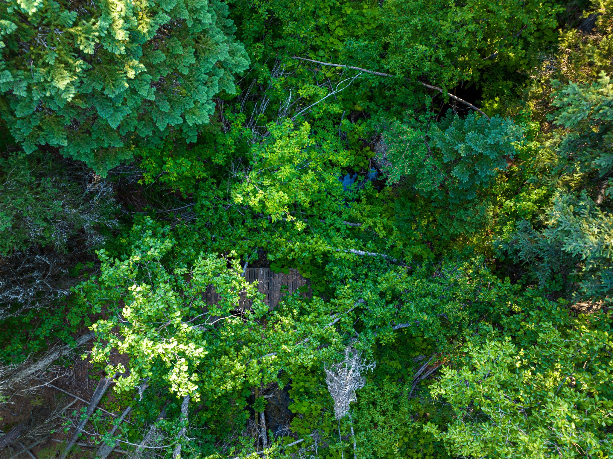 Nhn Ashley Lake Road Property Photo 5