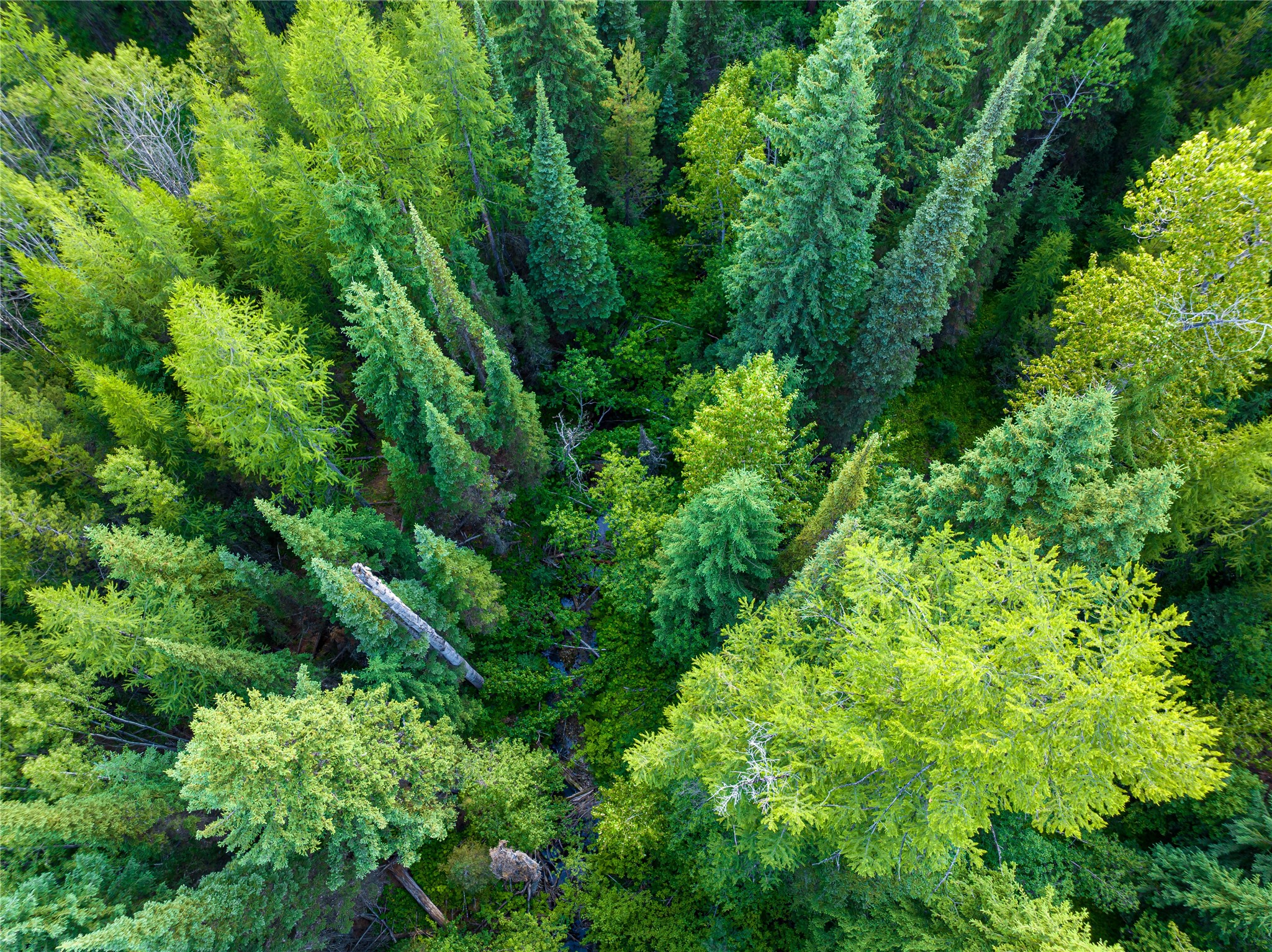 Nhn Ashley Lake Road Property Photo 6