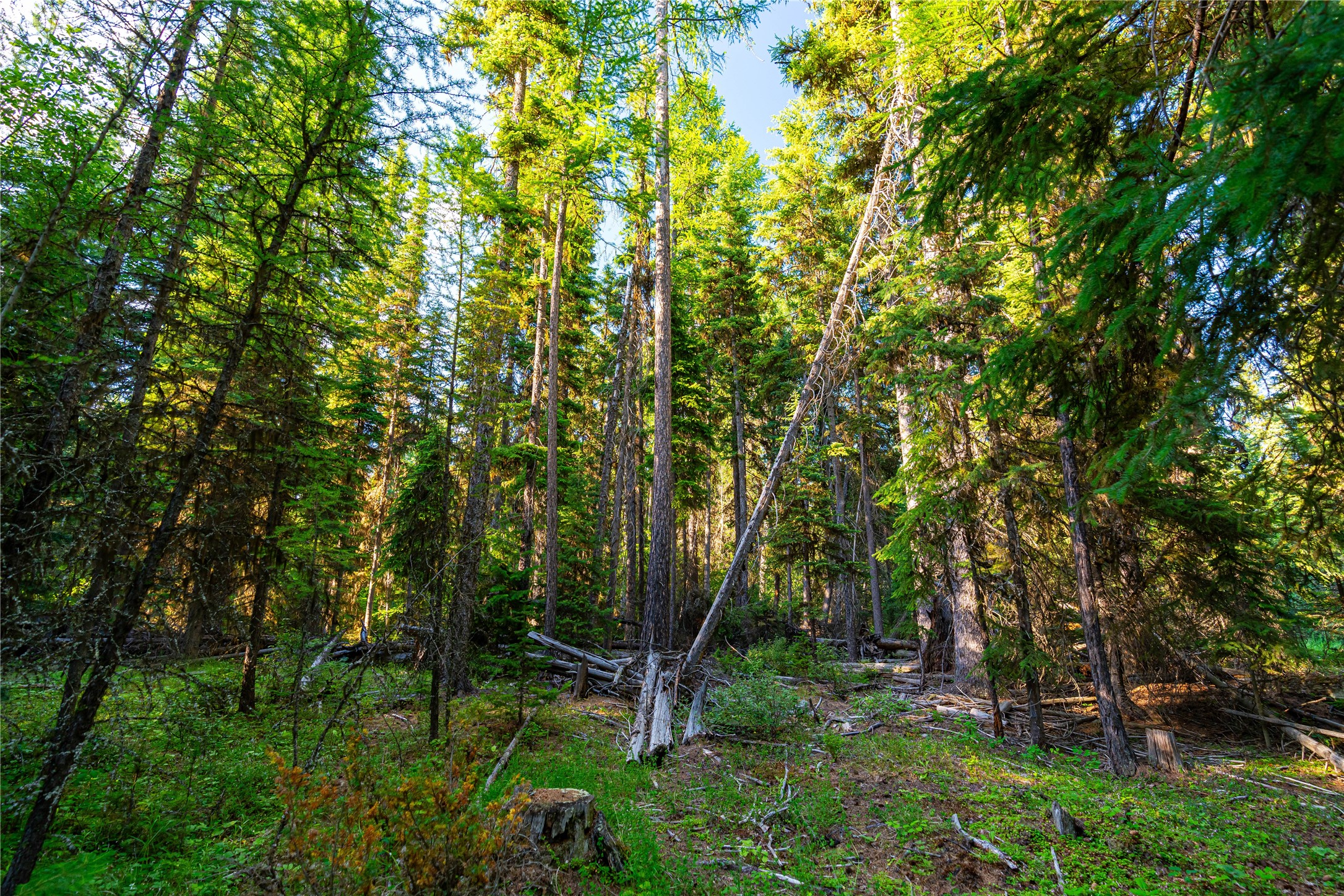 Nhn Ashley Lake Road Property Photo 7