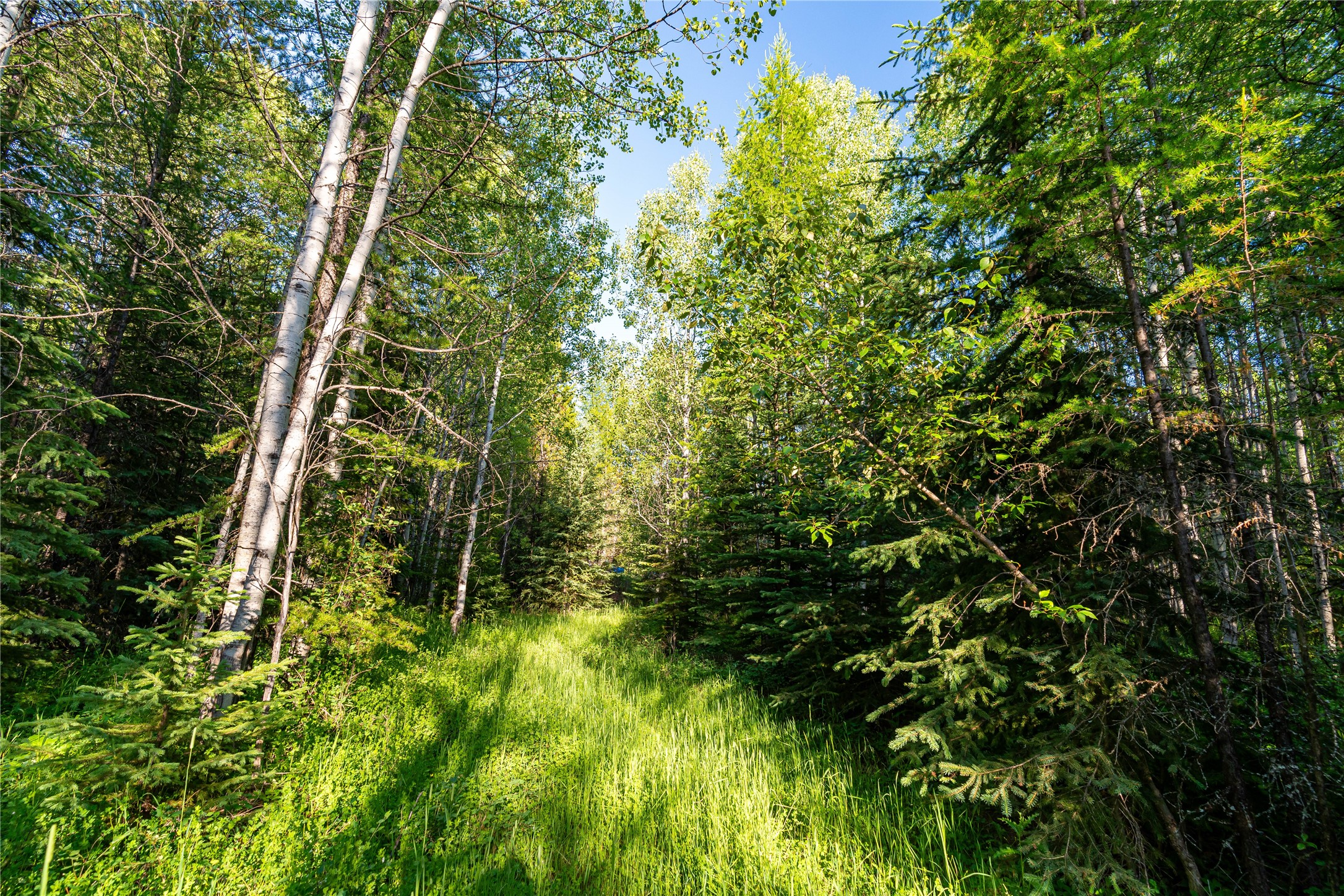 Nhn Ashley Lake Road Property Photo 8