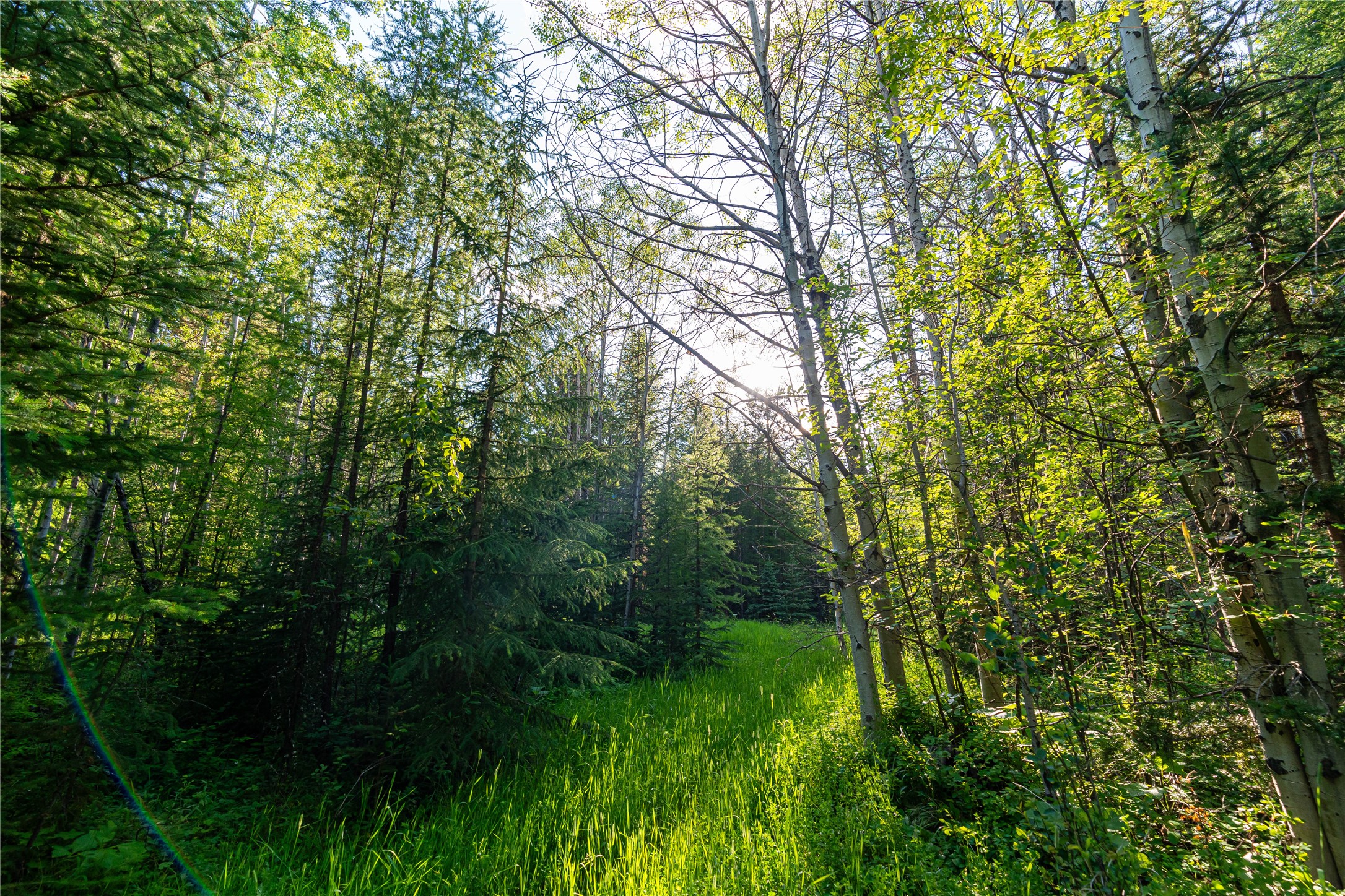 Nhn Ashley Lake Road Property Photo 9