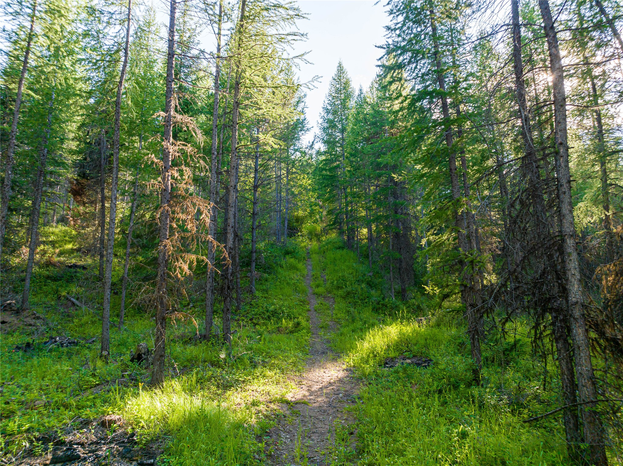 Nhn Ashley Lake Road Property Photo 10