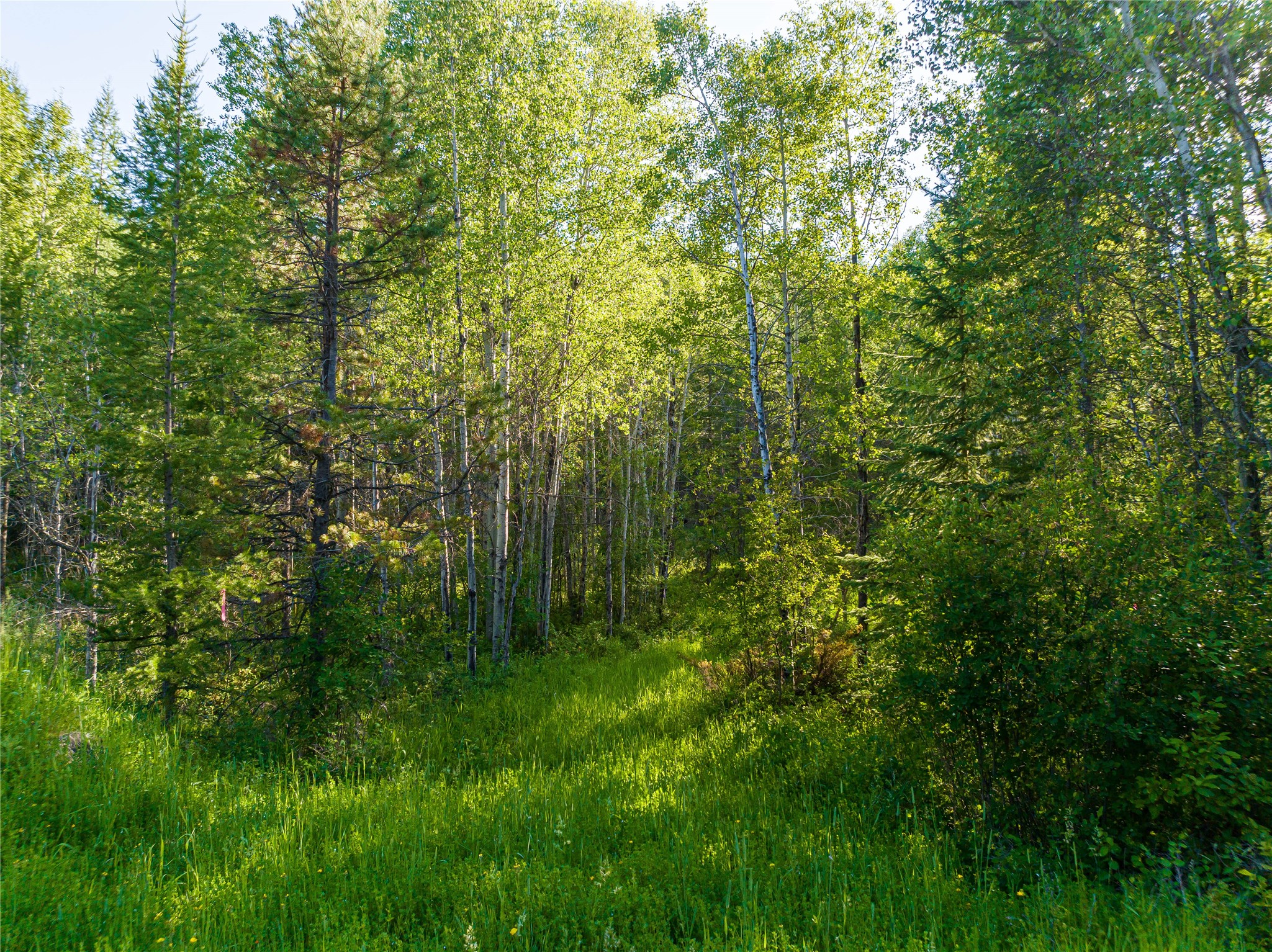 Nhn Ashley Lake Road Property Photo 11