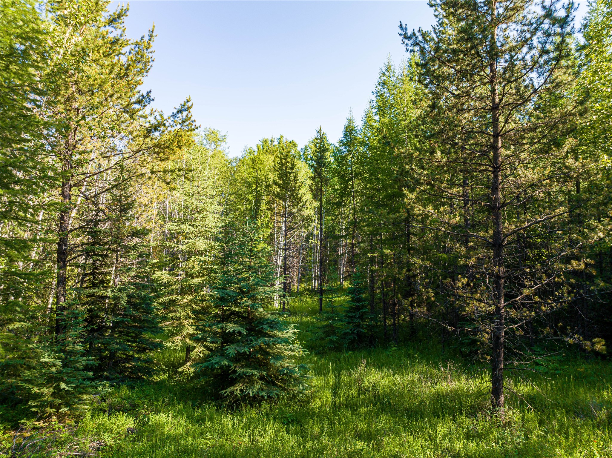 Nhn Ashley Lake Road Property Photo 12