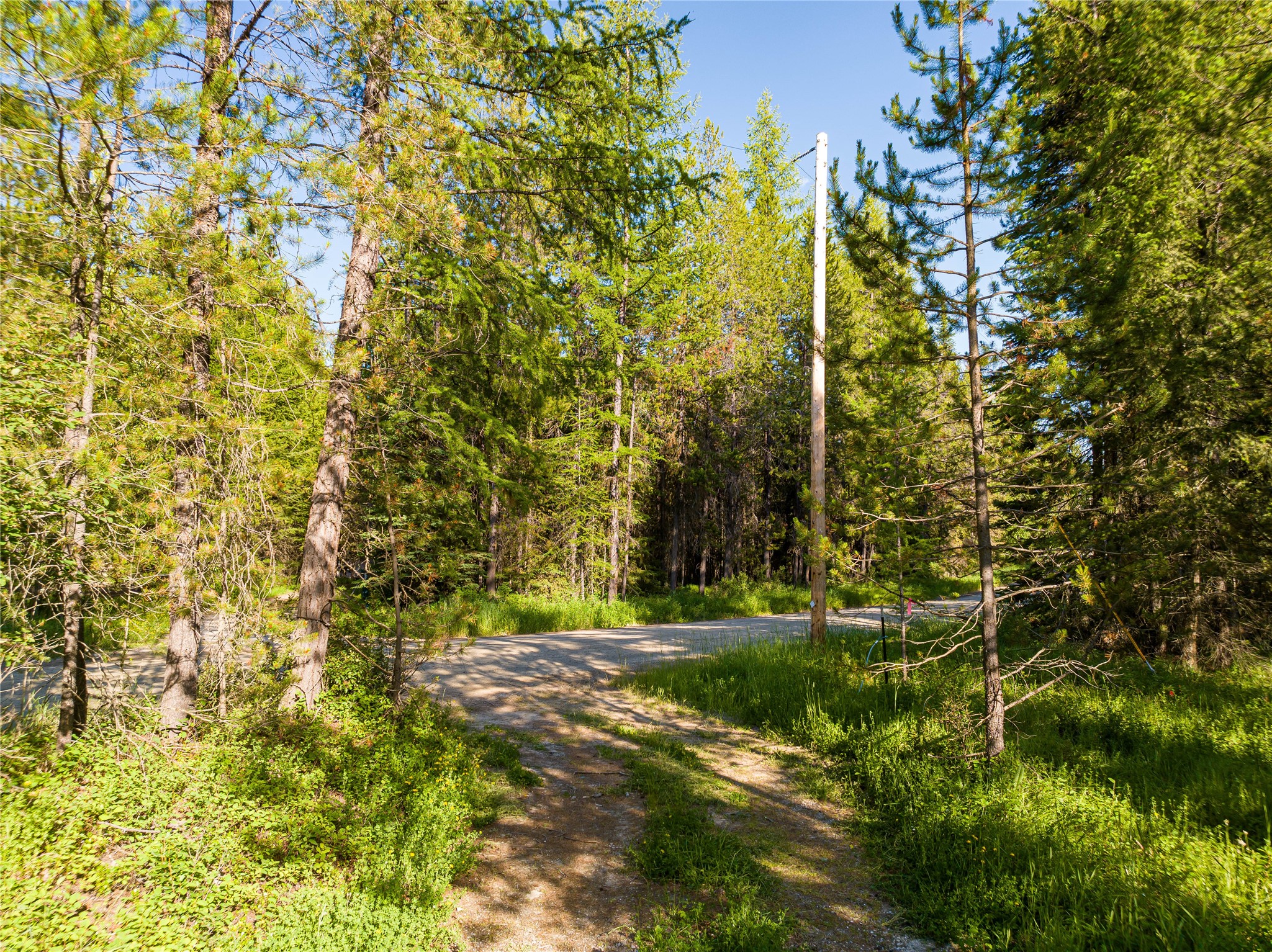 Nhn Ashley Lake Road Property Photo 13