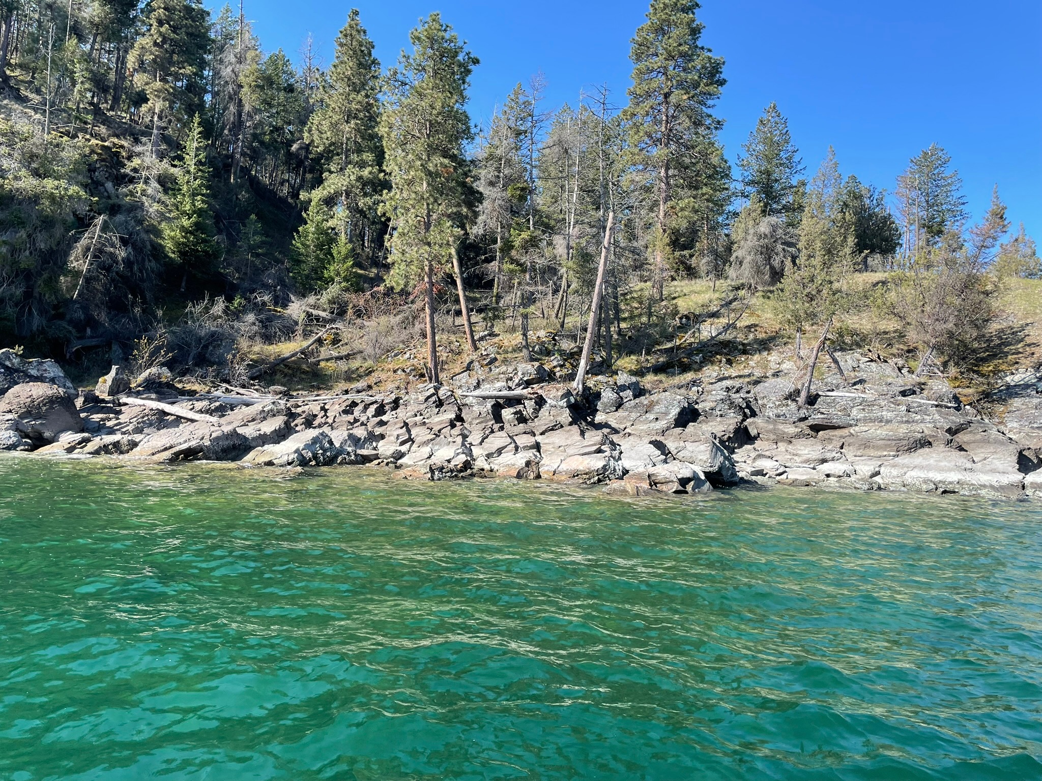 Nhn Wild Horse Island Lane Property Photo 1